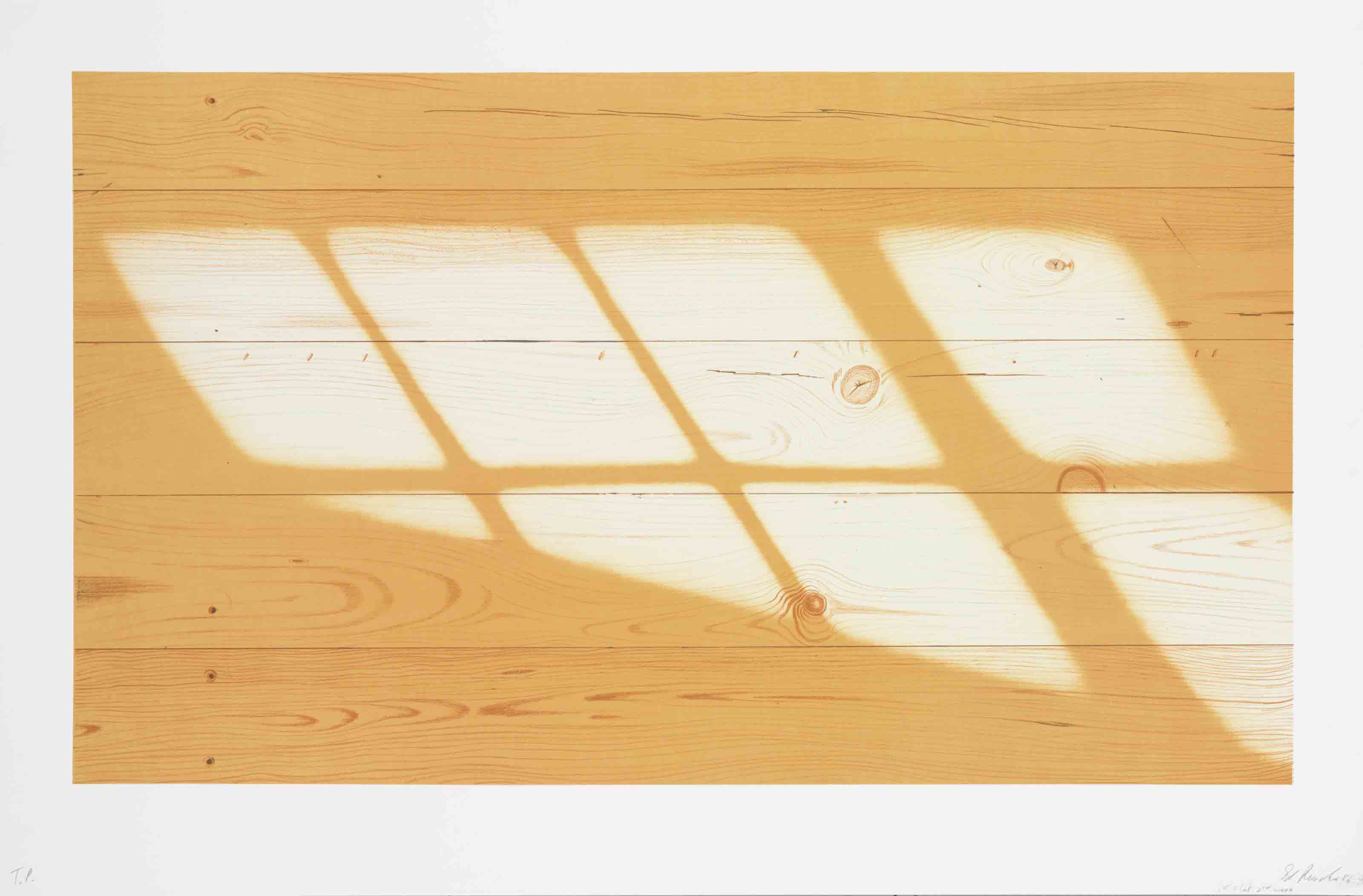 Western Horizontal (E. 146) 
