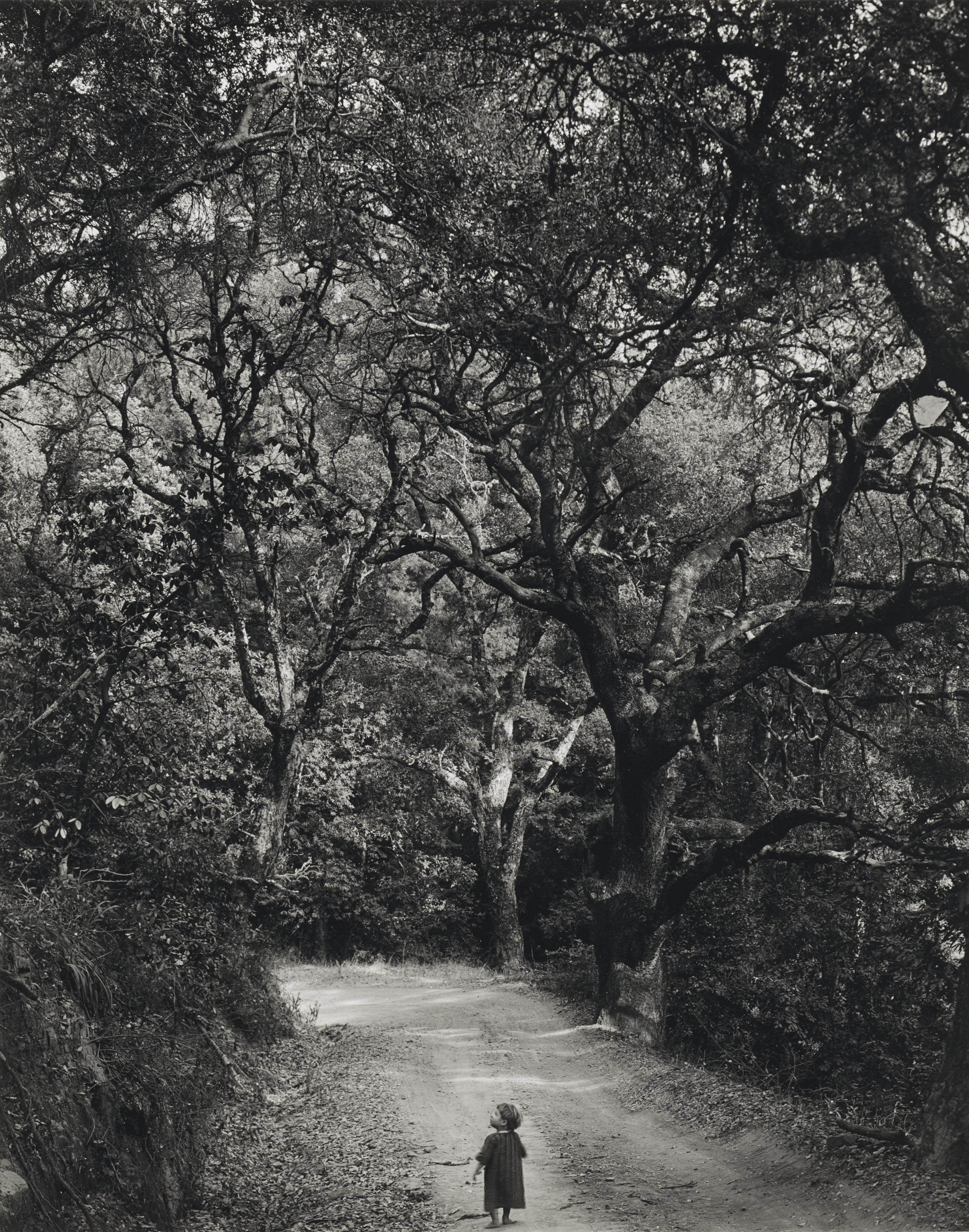 Wynn Bullock 1902 1975 Child On Forest Road 1958 1950s Photographs Christie S