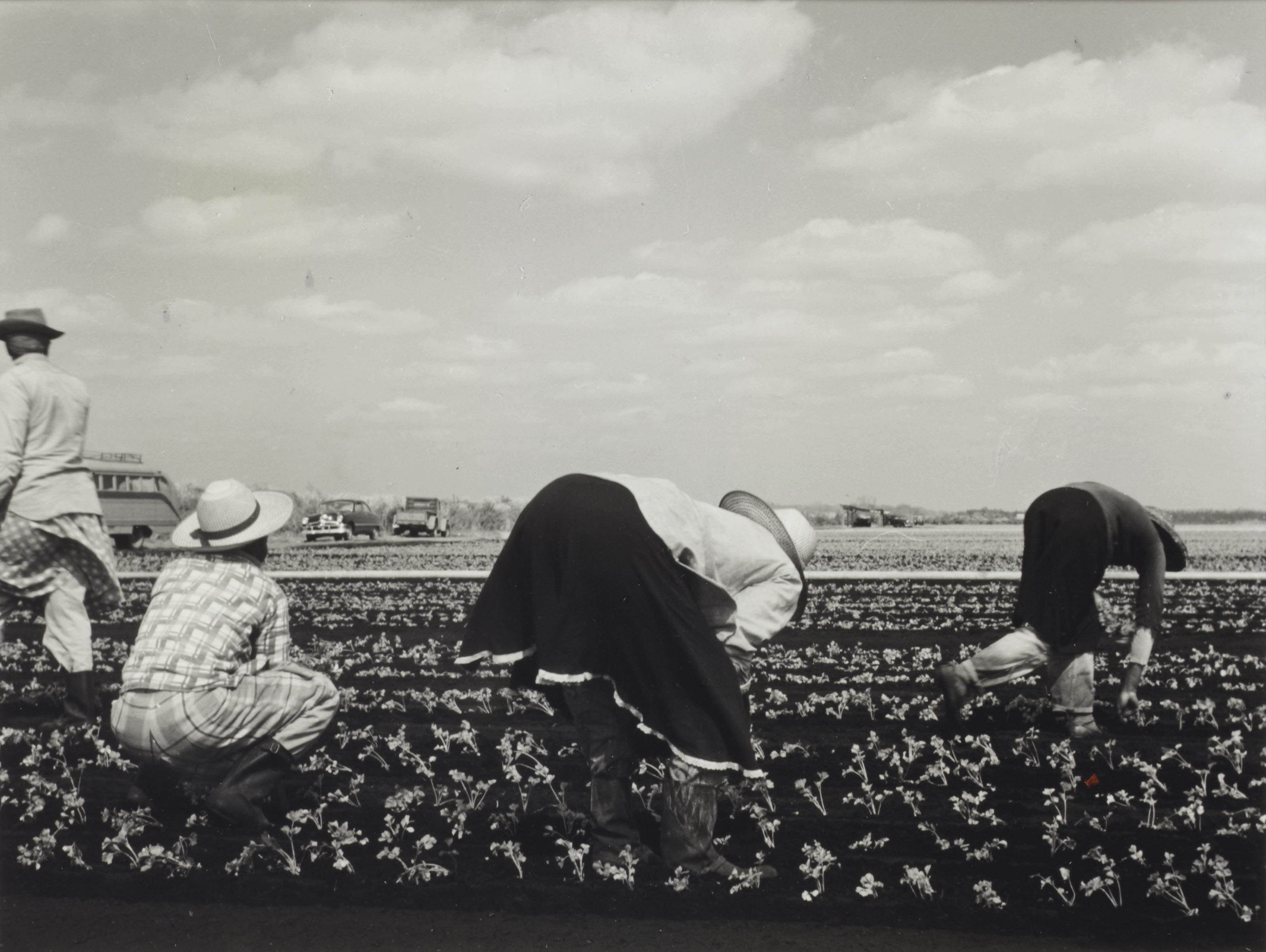 Consuelo Kanaga 1894 1978 Home > contents > people > photographers > consuelo kanaga. consuelo kanaga 1894 1978