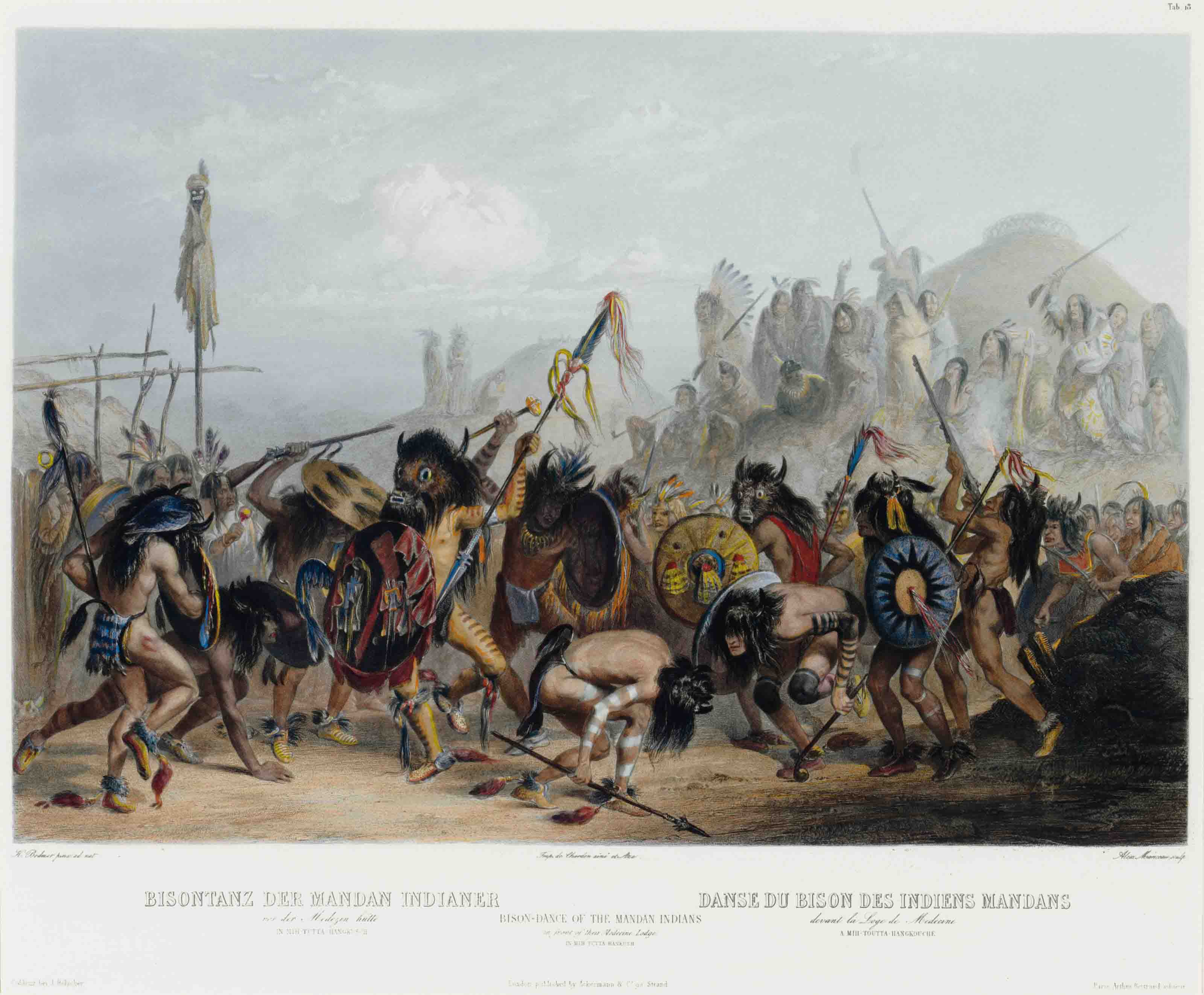 Mandan indians dna image