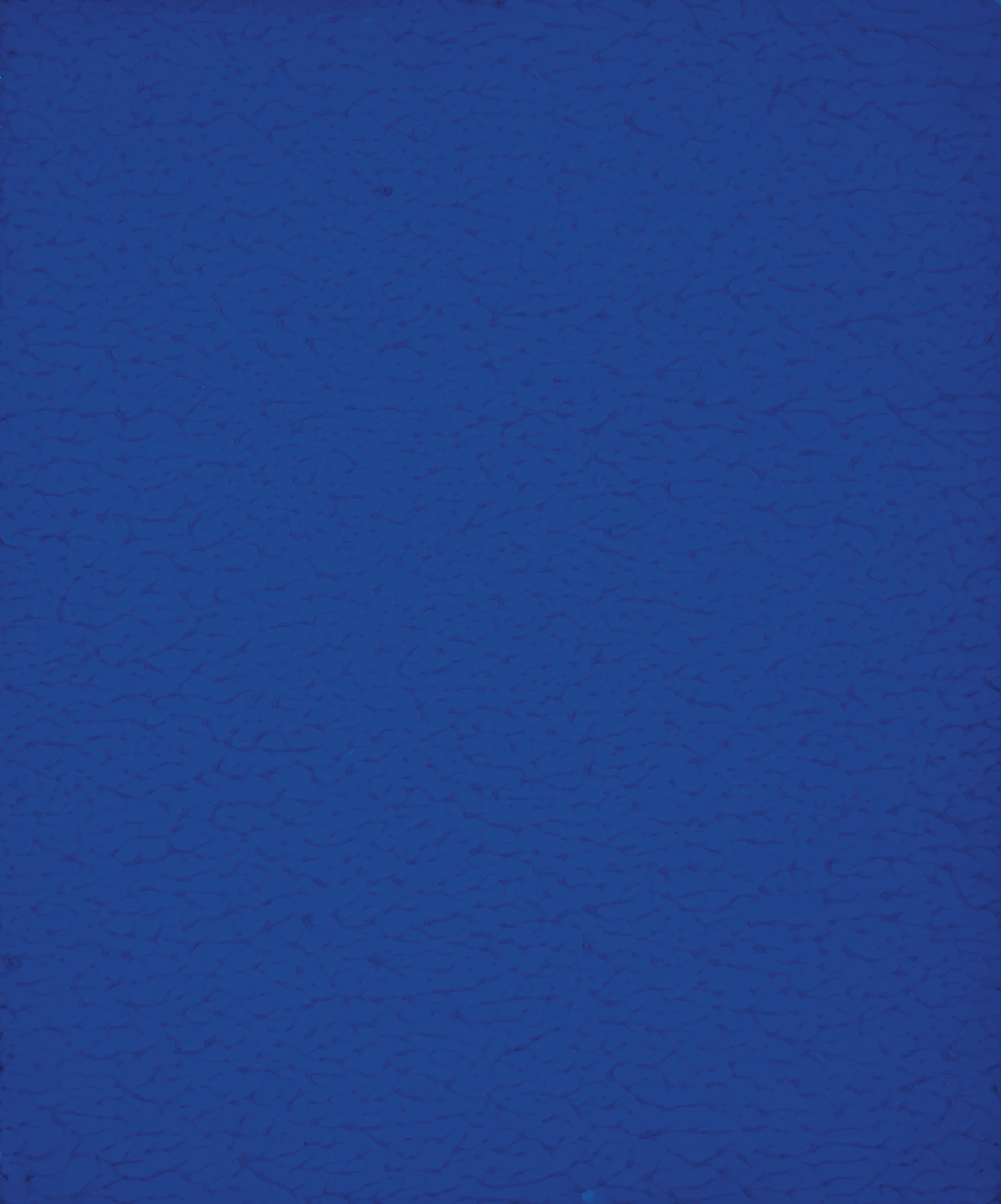  YVES  KLEIN  1928 1962 Monochrome  bleu sans titre IKB 