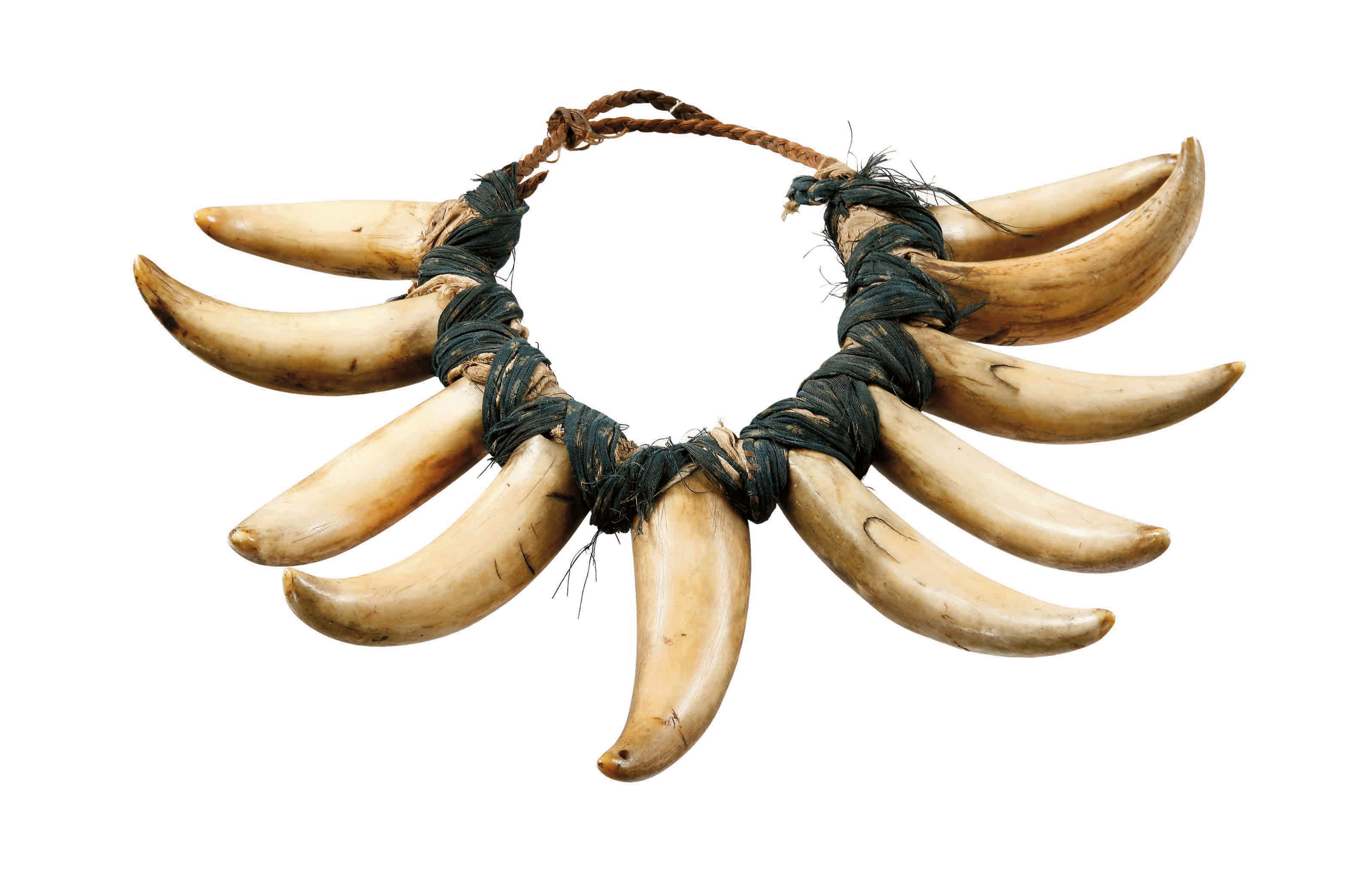 pendentif en dent de cachalot tabua fiji islands whale tooth pendant tabua
