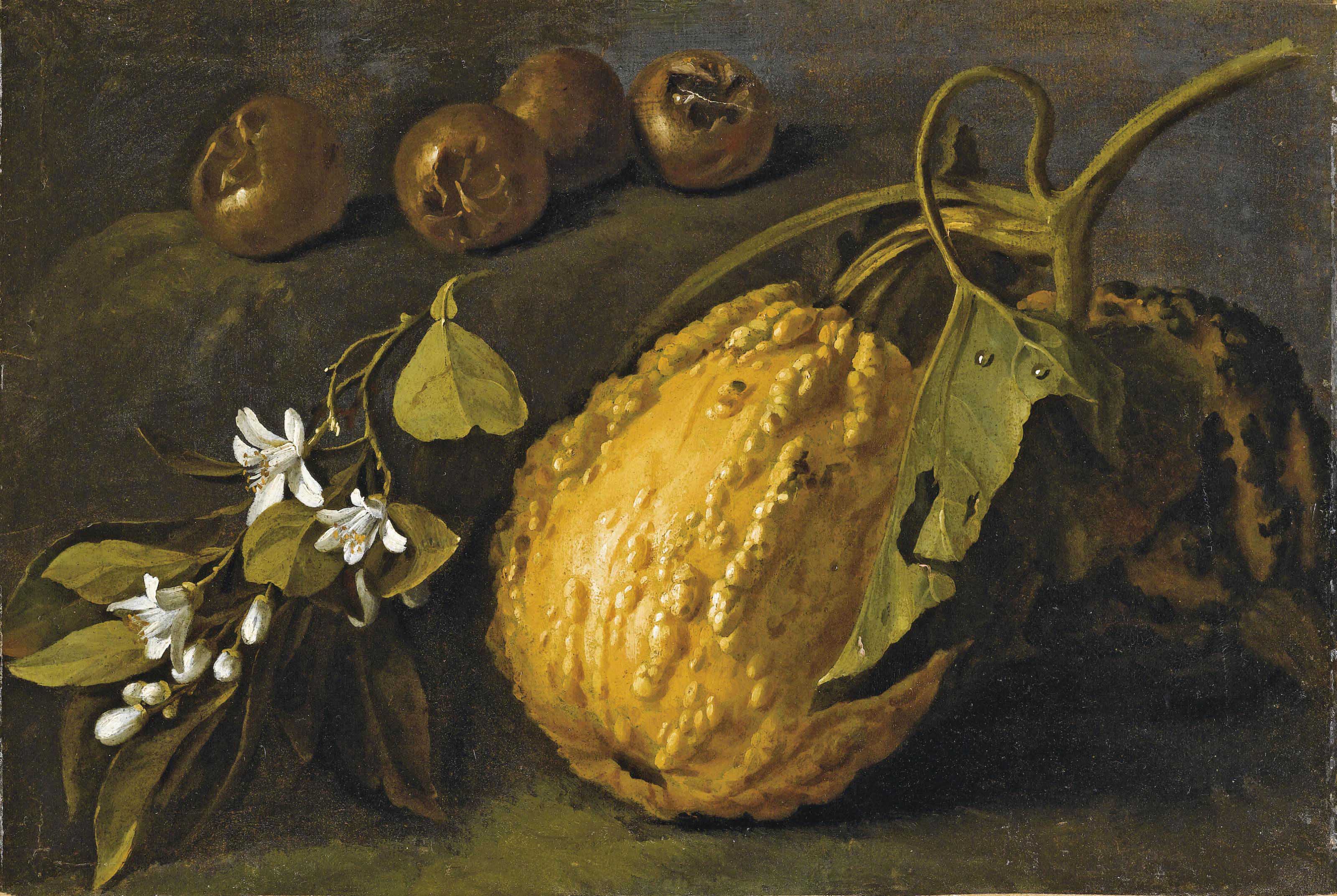 https://www.christies.com/img/LotImages/2011/RMA/2011_RMA_02528_0021_000(scuola_lombarda_fine_del_secolo_xviii_natura_morta_con_zucca_e_fiori_d).jpg