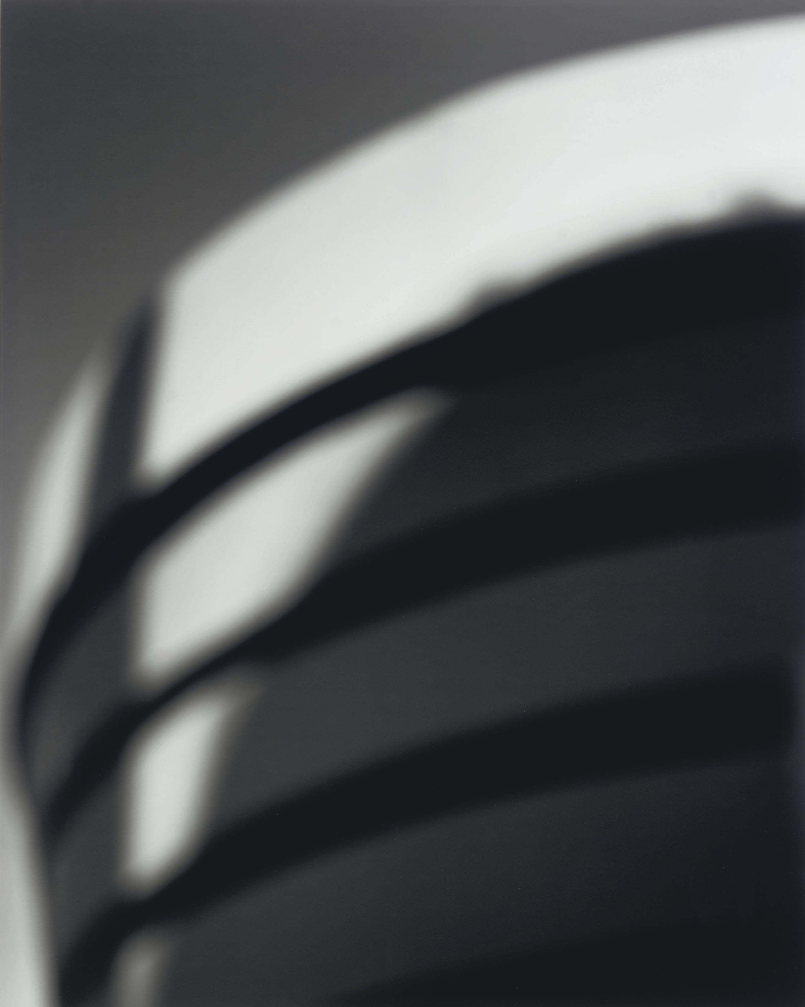 HIROSHI SUGIMOTO (b. 1948) , Guggenheim Museum, New York