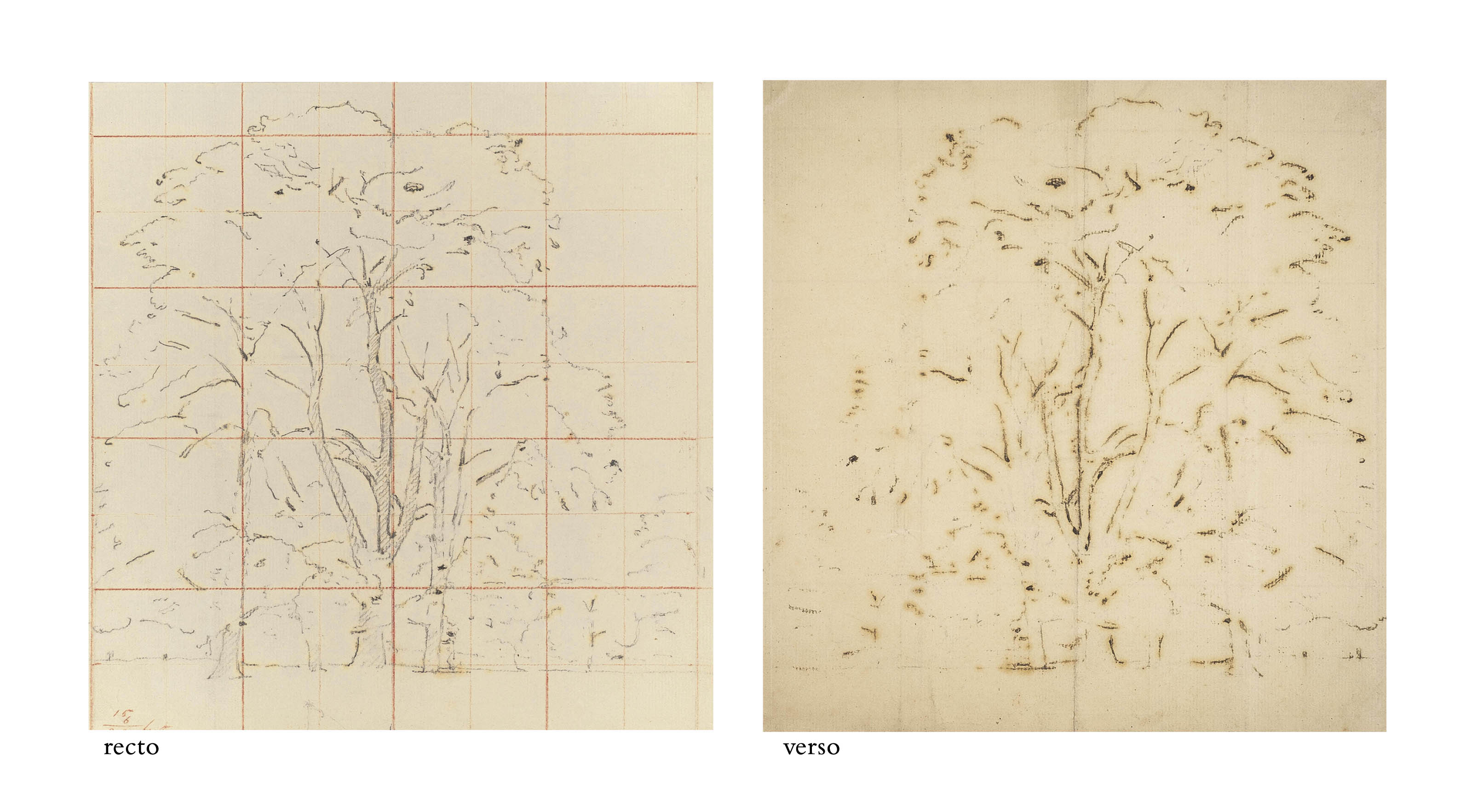 Study for 'Elm trees in Old Hall Park, East Bergholt' 
