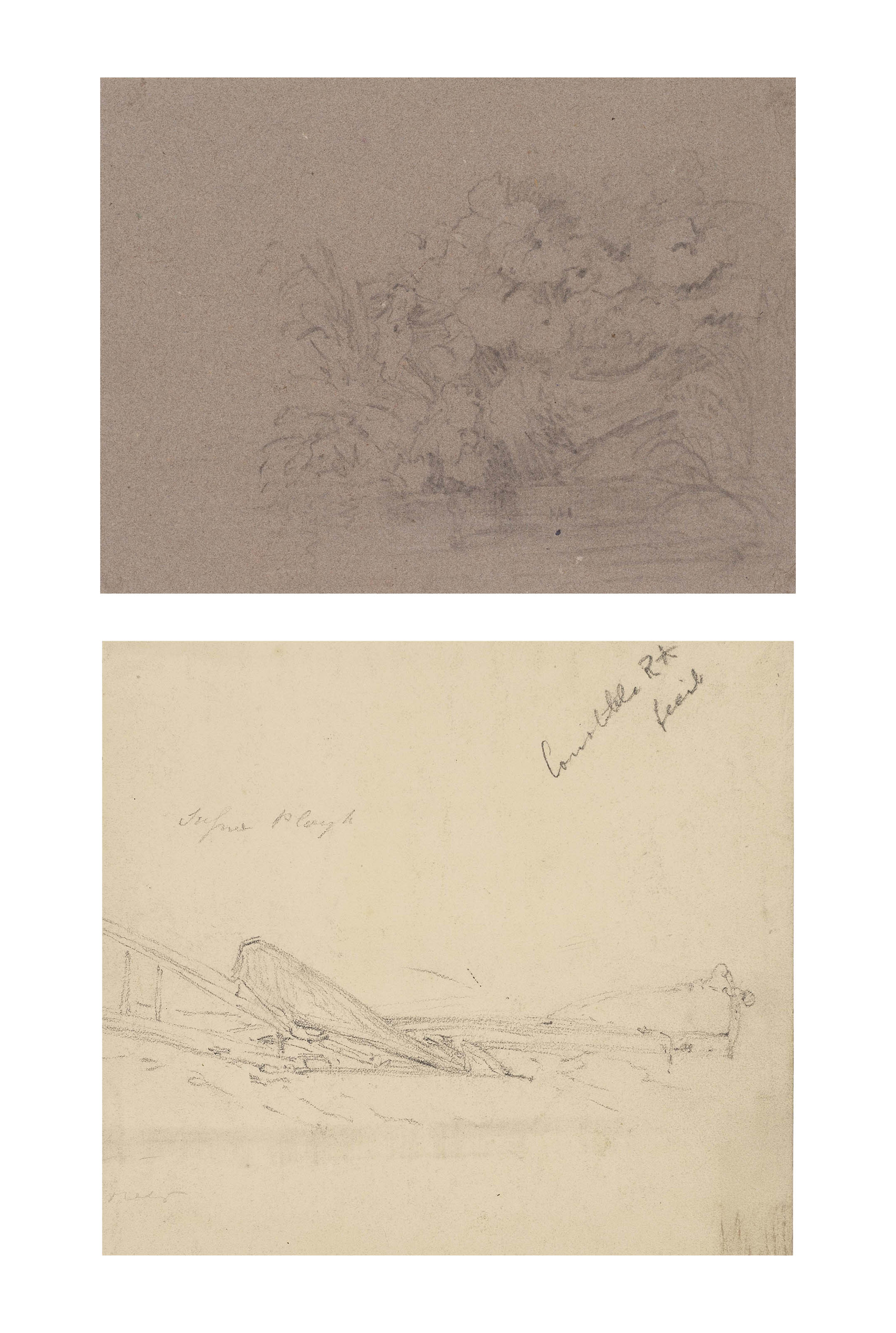 Study of plants and rocks; and A drawing of a plough (recto) and Sketch of a dog's head (verso)
