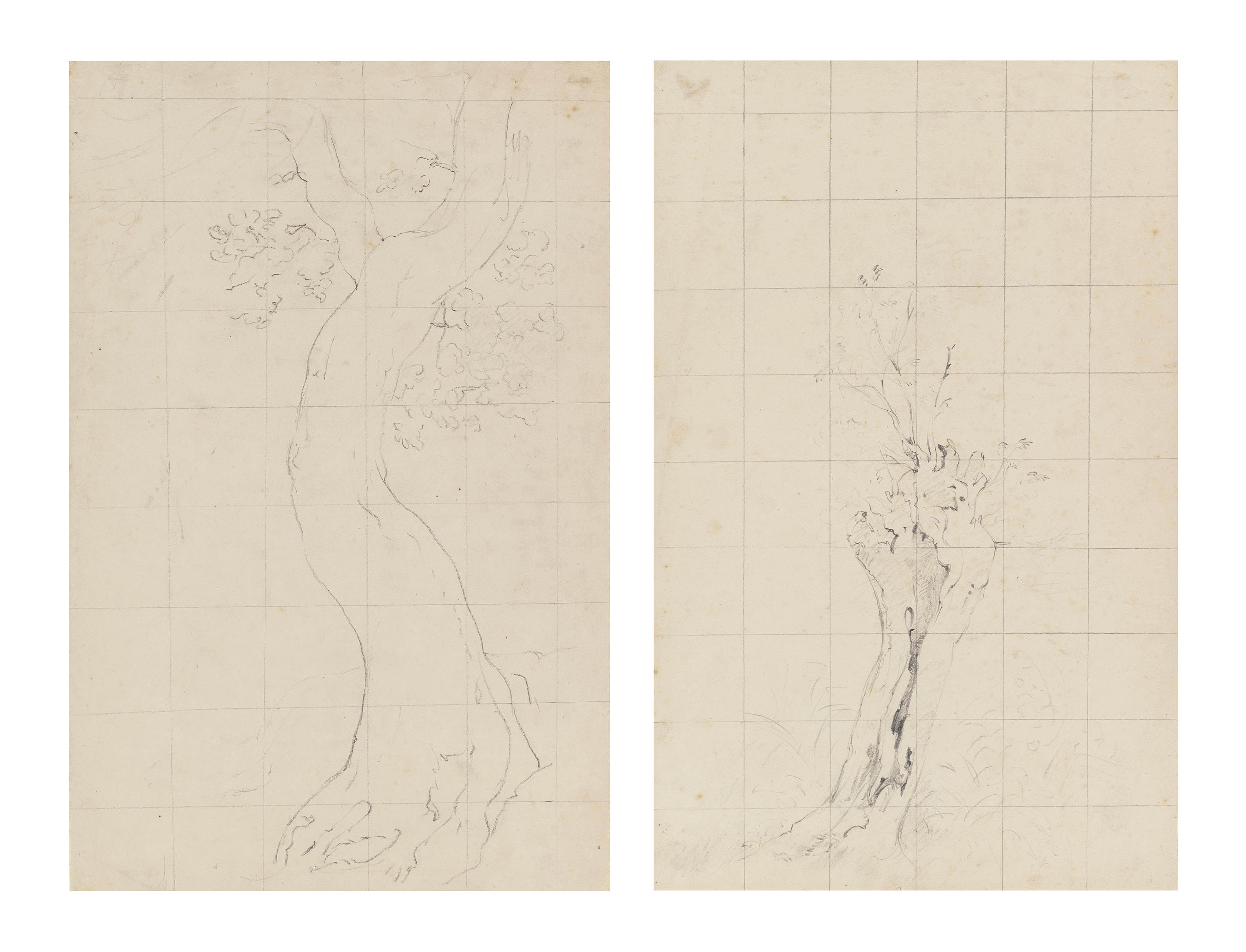 Tree study for Helmingham Dell; and Tree study of a pollarded willow 
