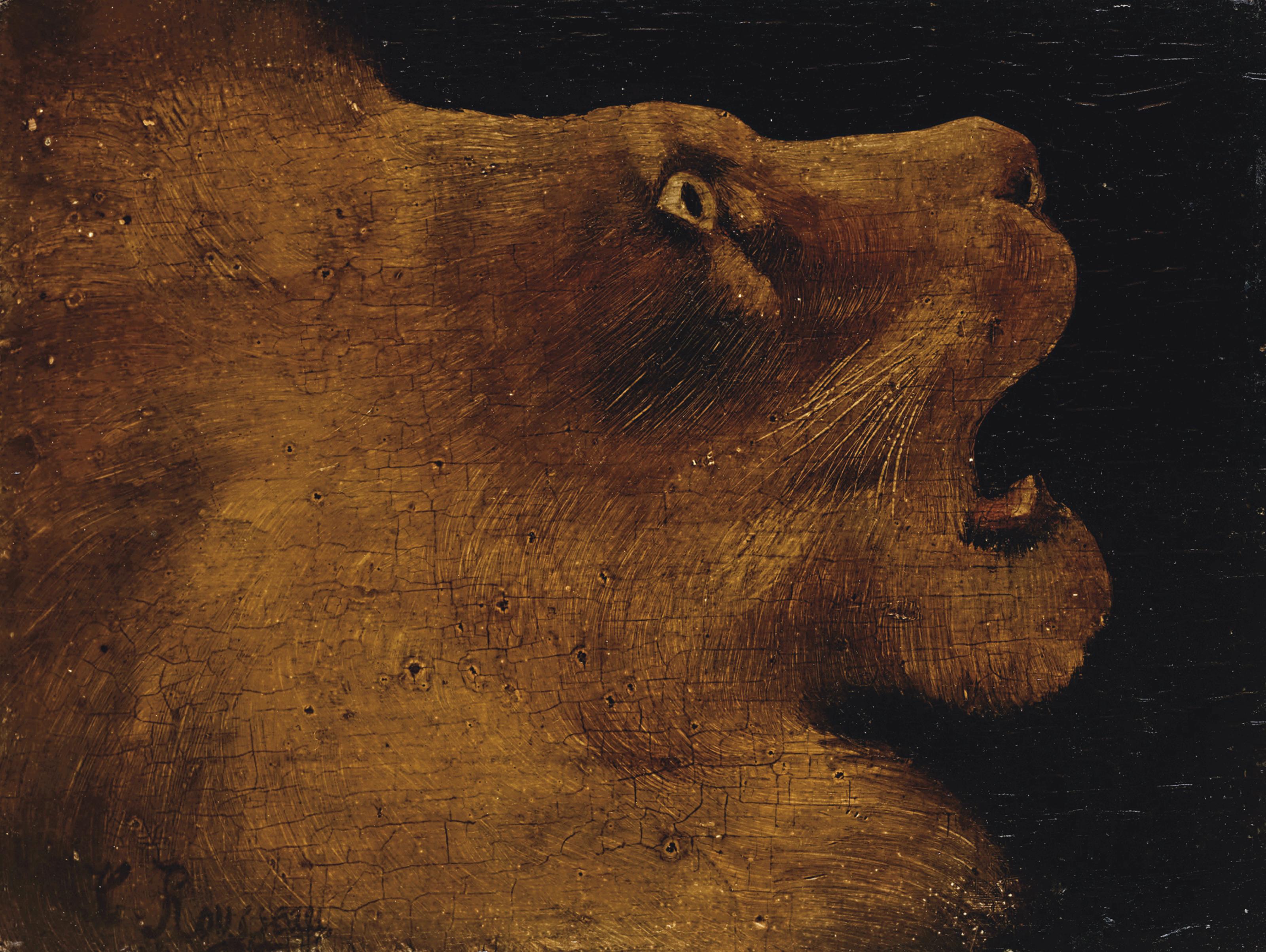 Henri Le Douanier Rousseau 1844 1910 Tete De Lion Early