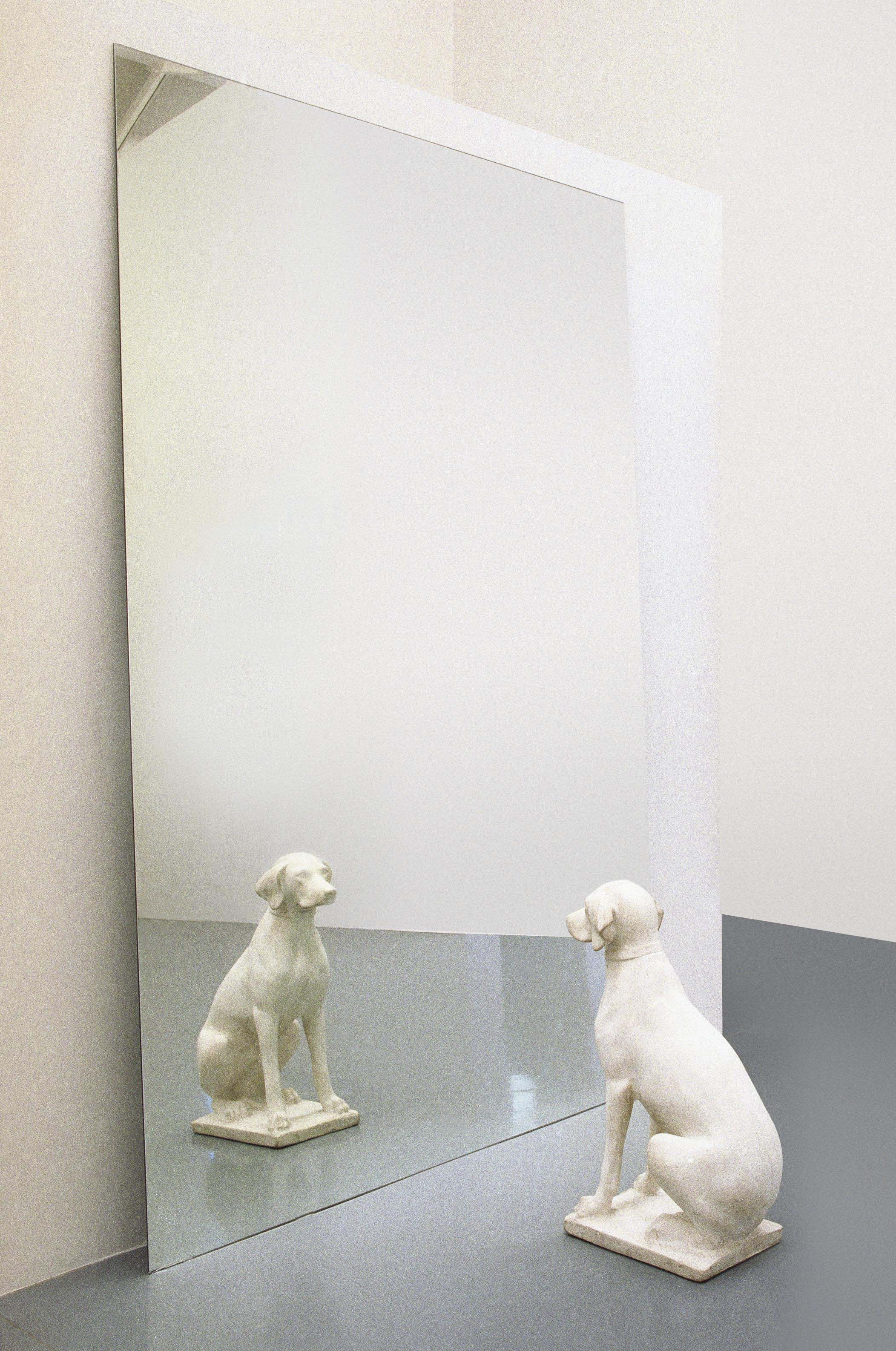 Cane allo Specchio (Dog in the Mirror) 
