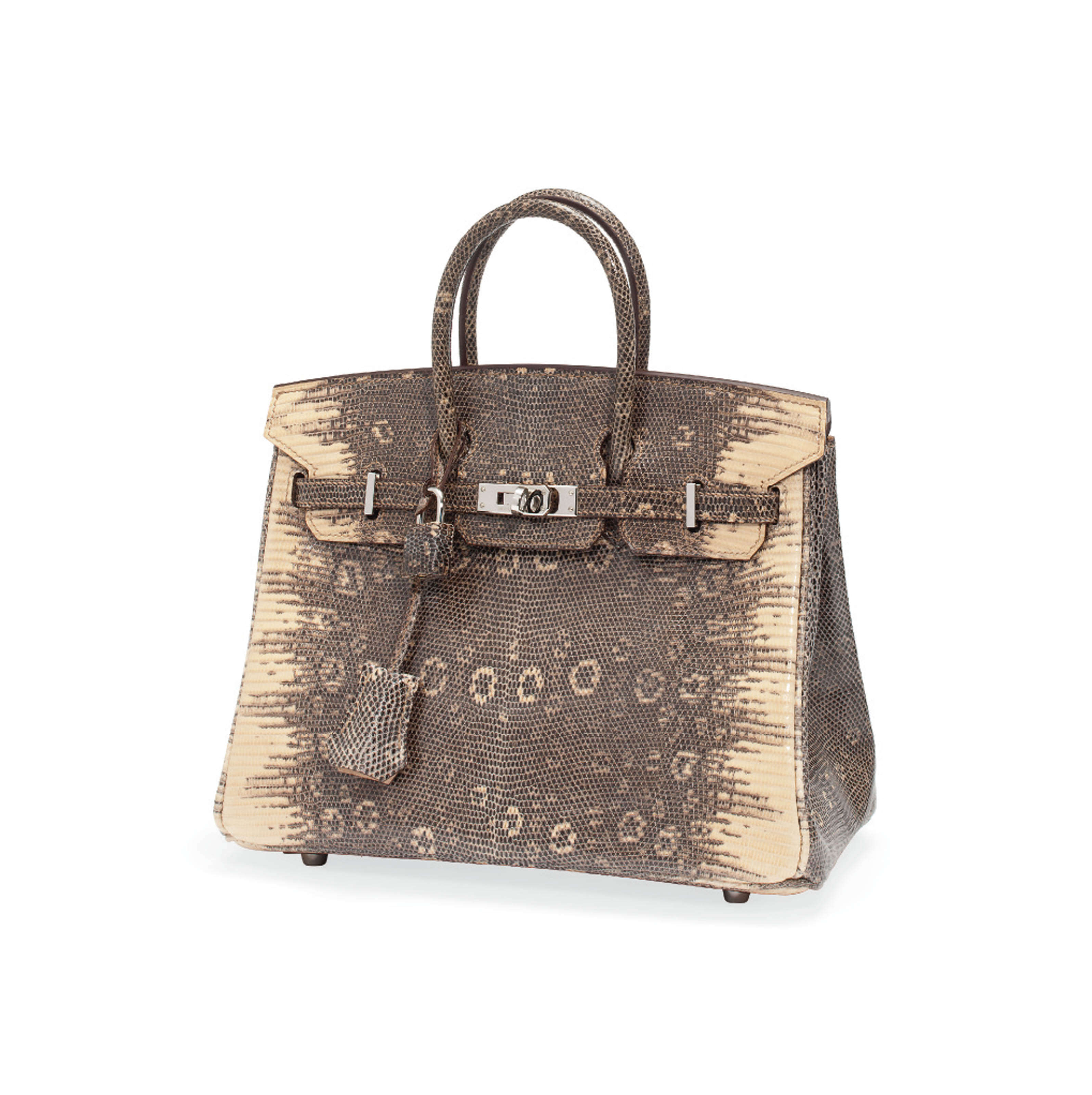 Ombre lizard birkin price Sale