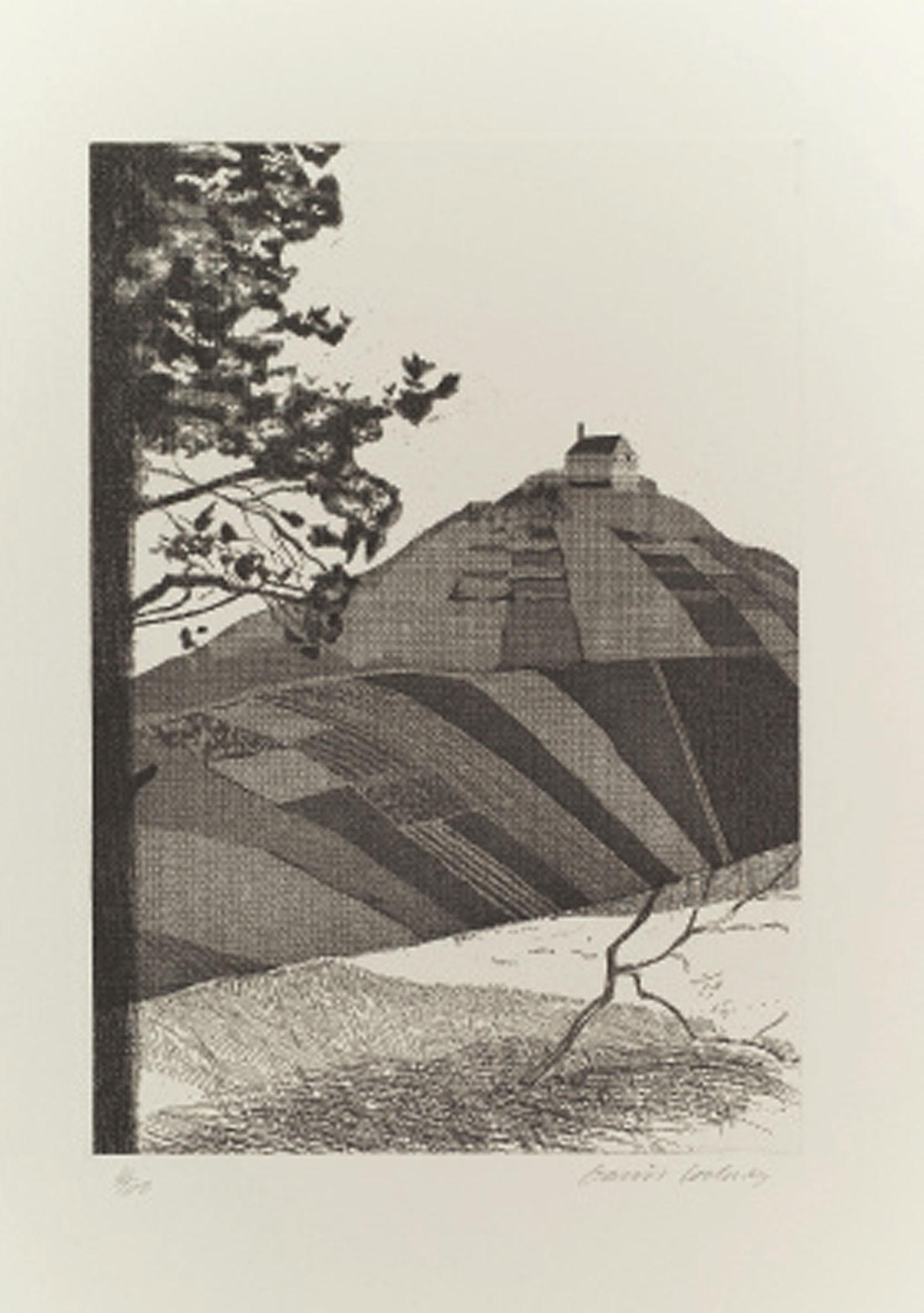 David Hockney (b. 1937) , Illustrations for Six Fairy