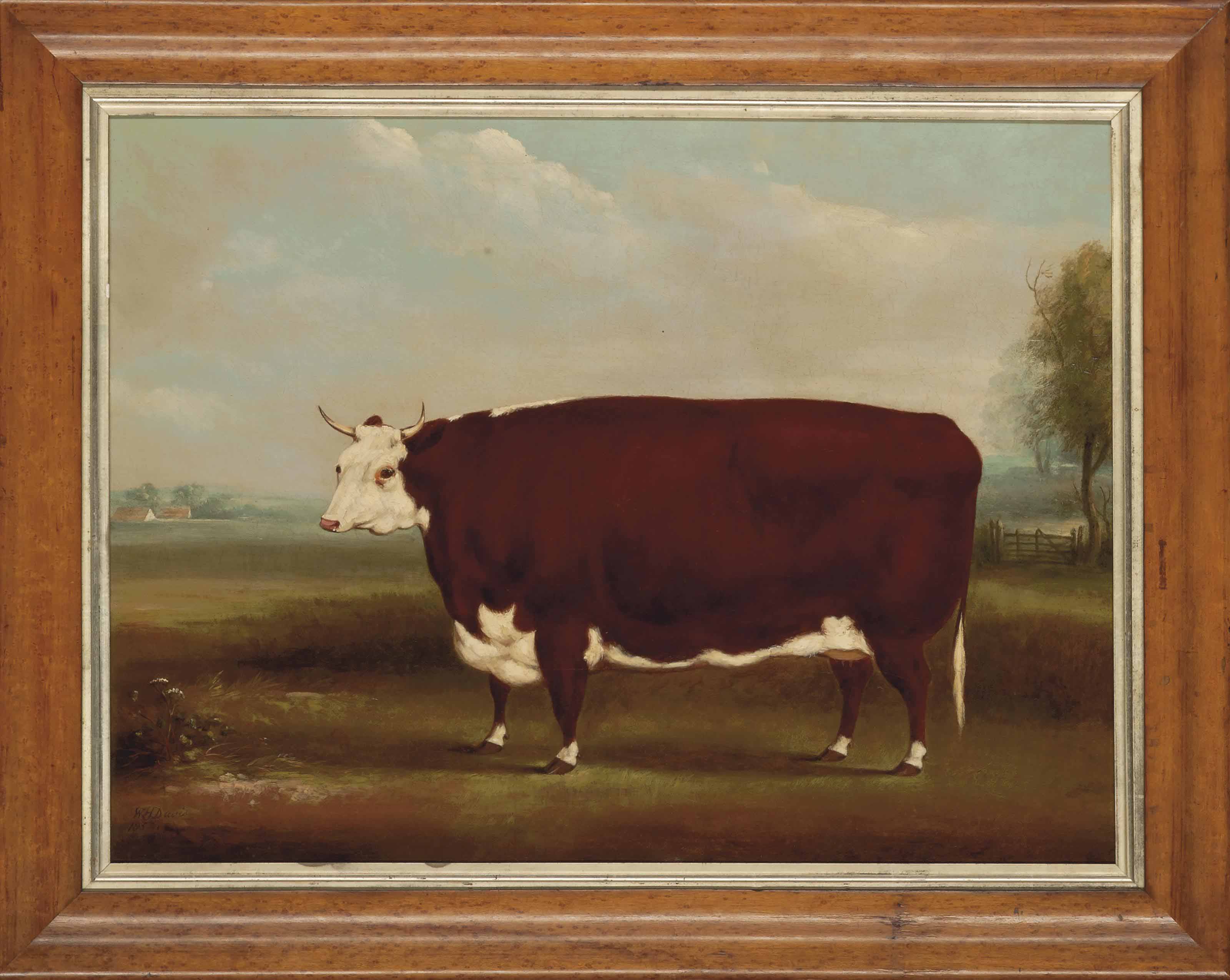 W H Davis Circa 1850 A Hereford Cow In A Landscape