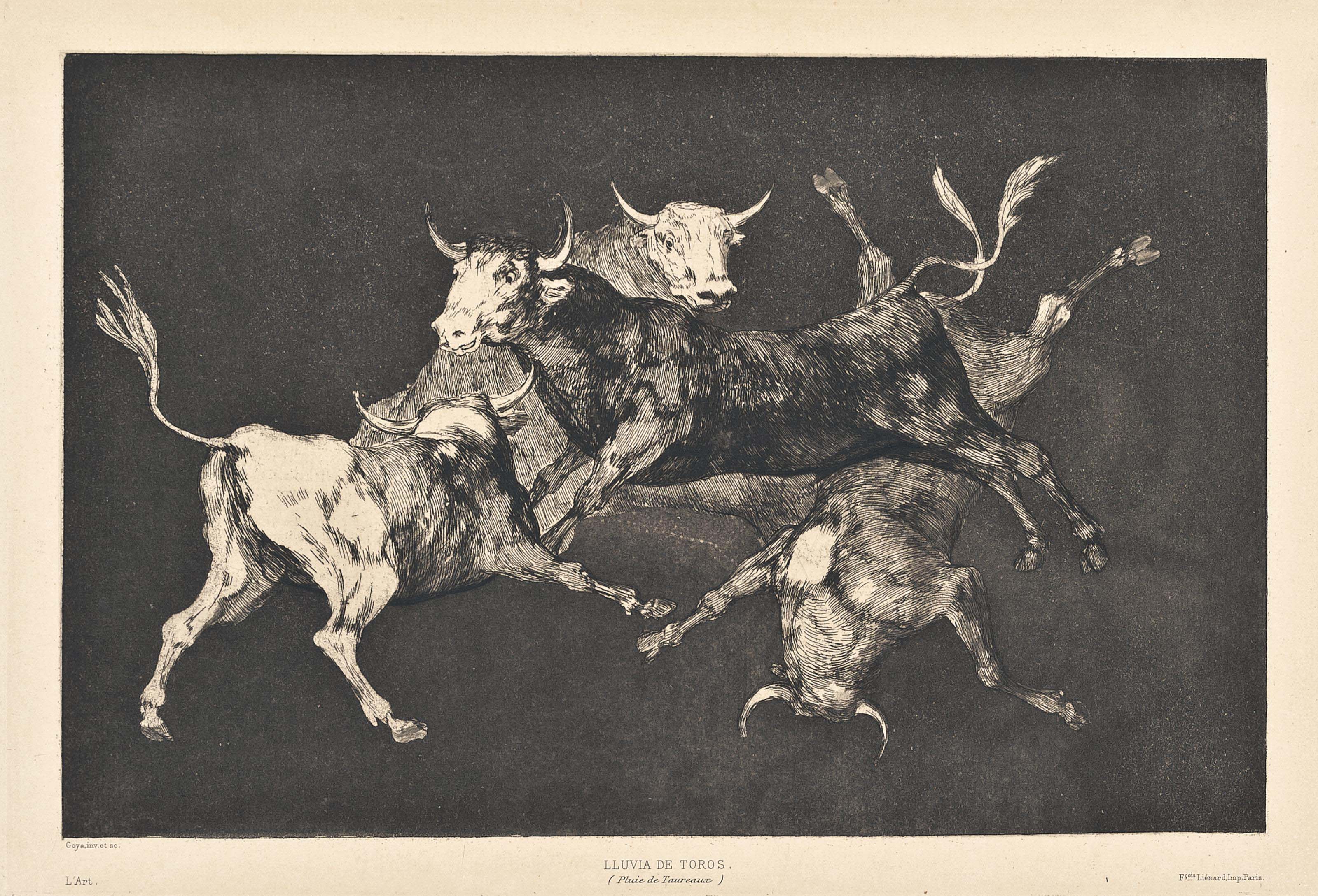 Disparate de Tontos, from: The additional four plates of Los Proverbios (Delteil 223; Harris 269)
