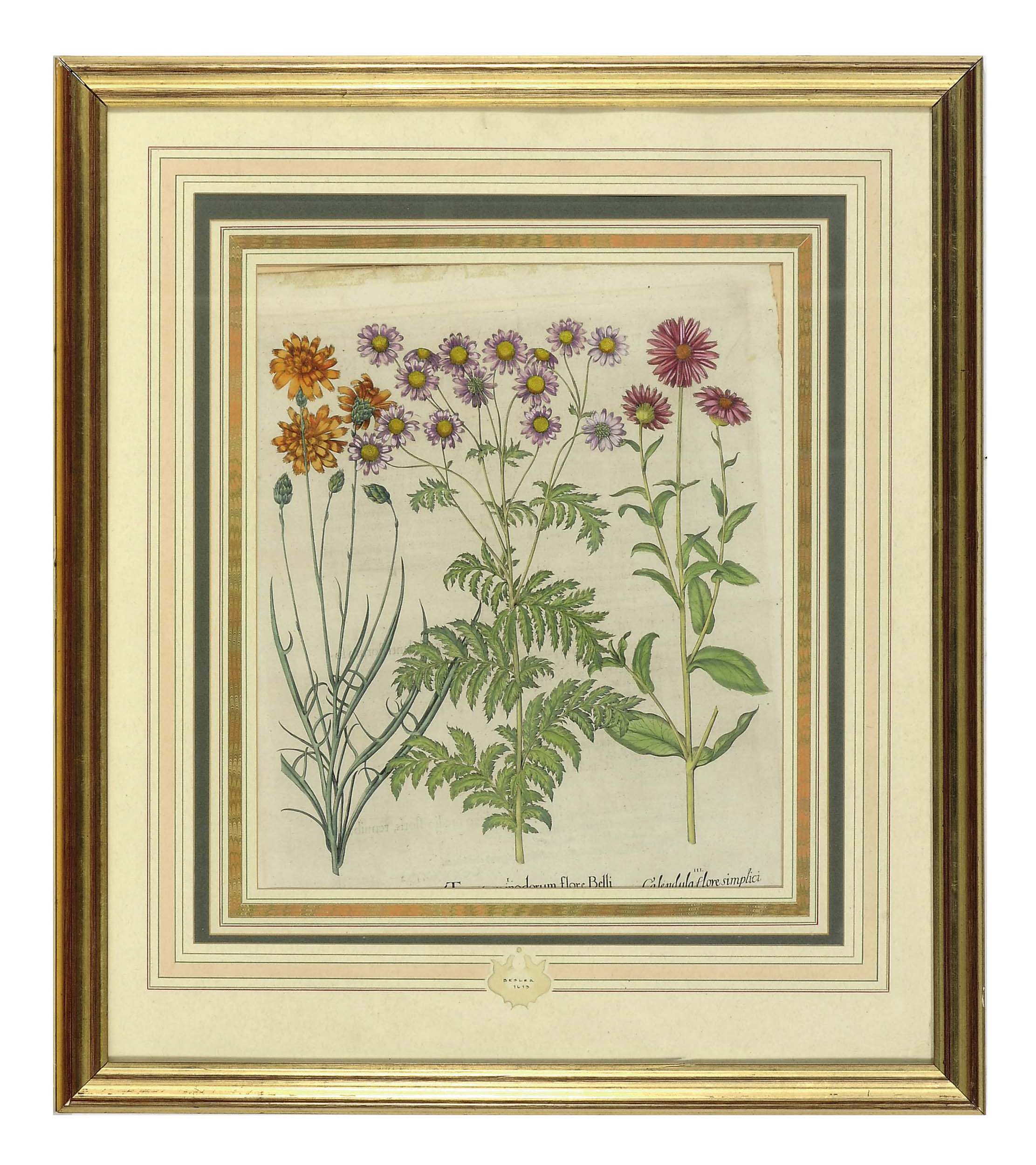 After Basilius Besler (15611629) , [Botanicals] Four Plates Christie's