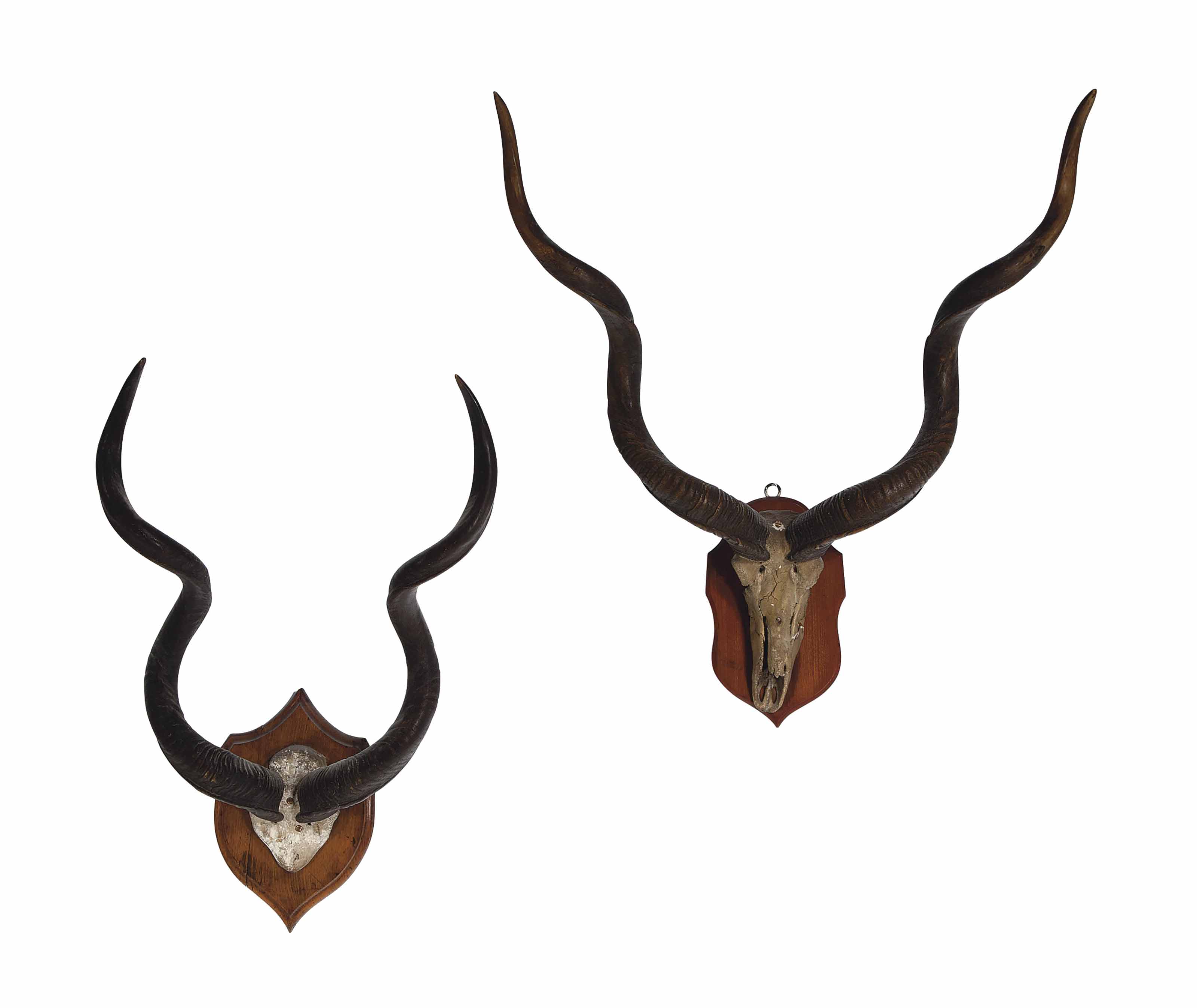 TWO PAIRS OF MOUNTED KUDU HORNS, Christie's