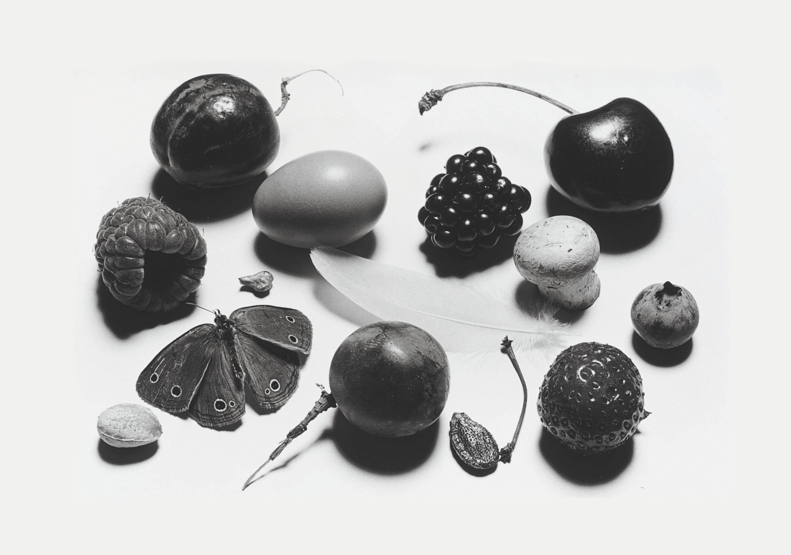 IRVING PENN (1917-2009) , Still Life with Grape and Moth, N.Y.