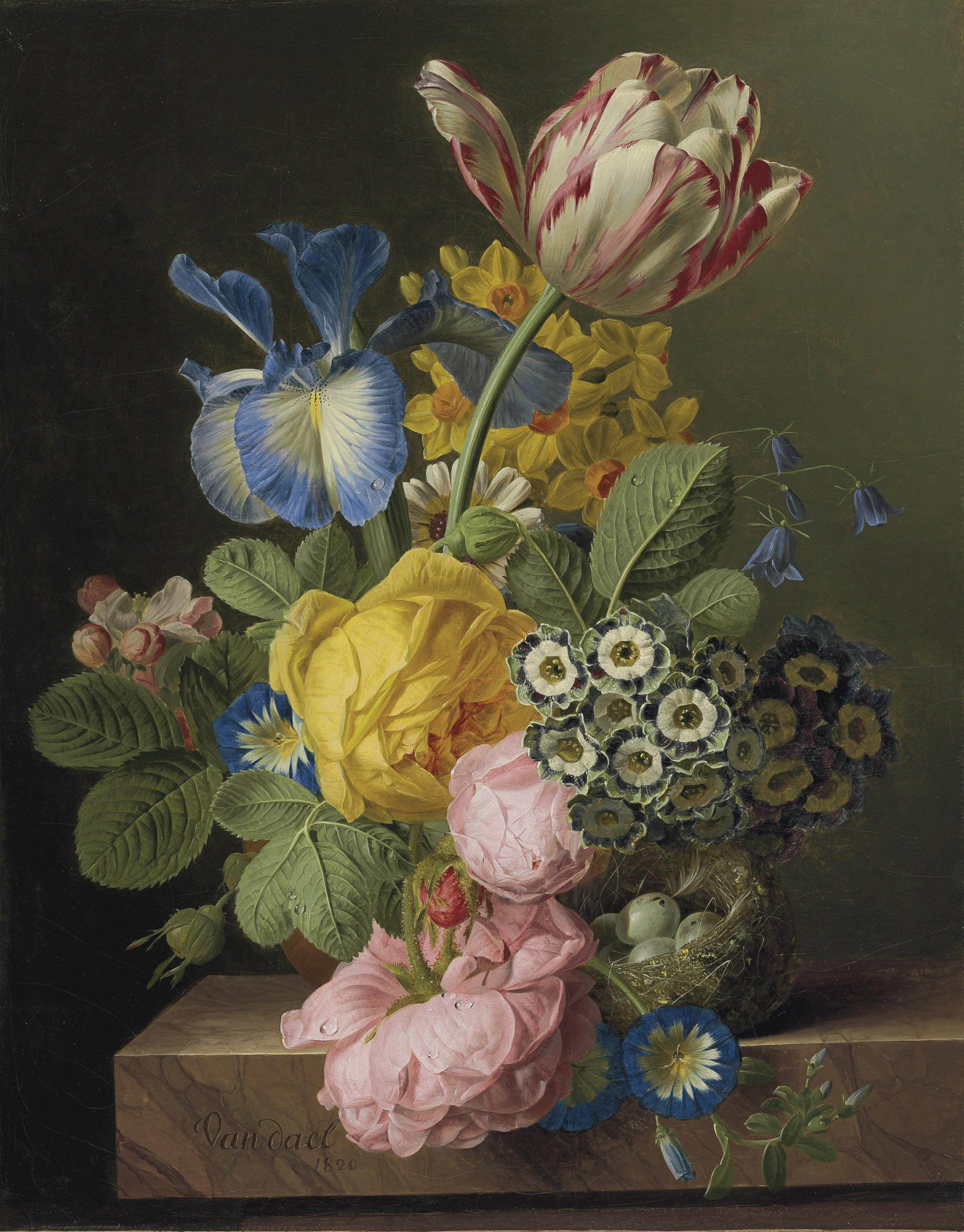 Натюрморт Jan frans van Dael