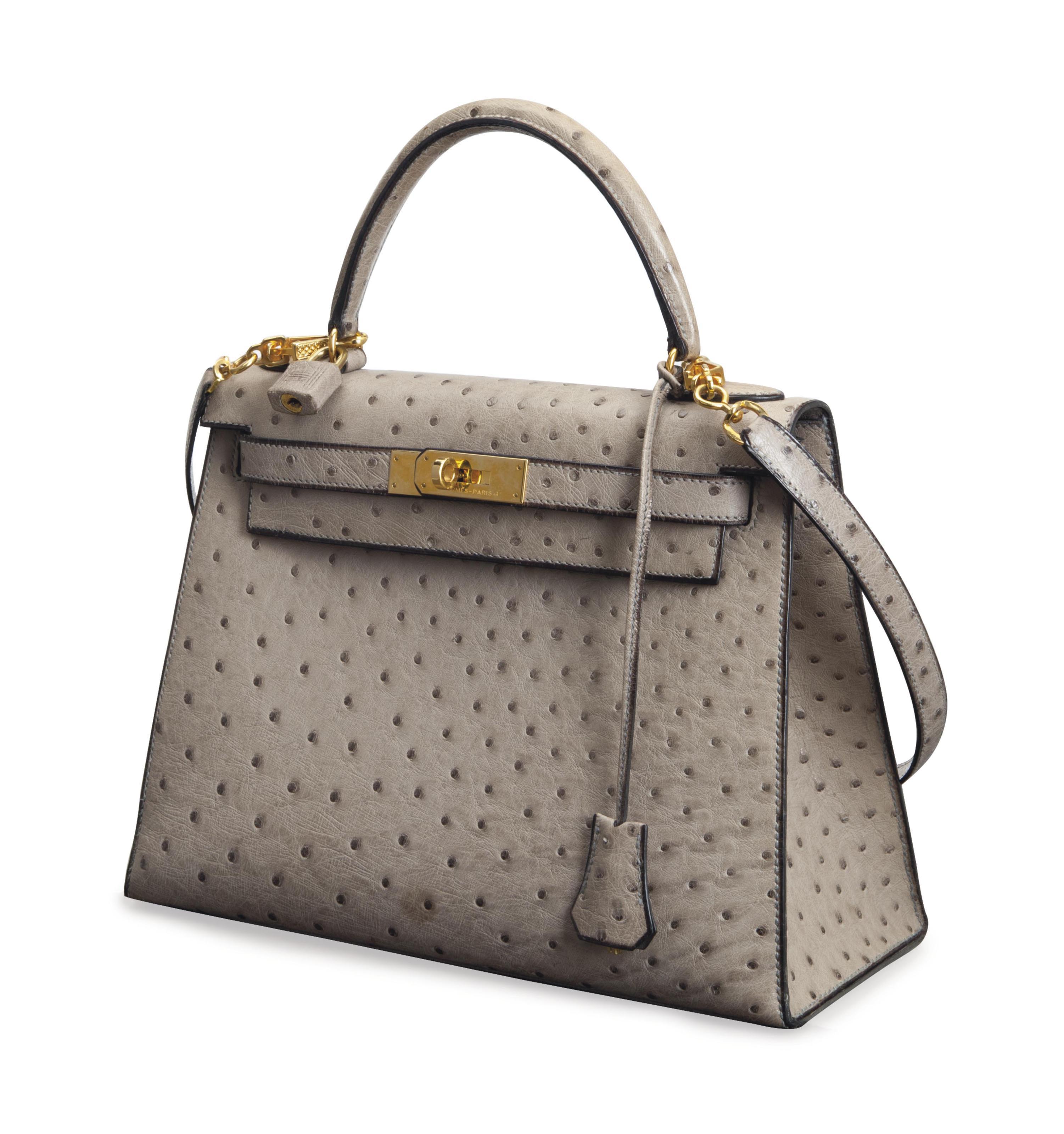 Hermes Ostrich Kelly 2024 favors