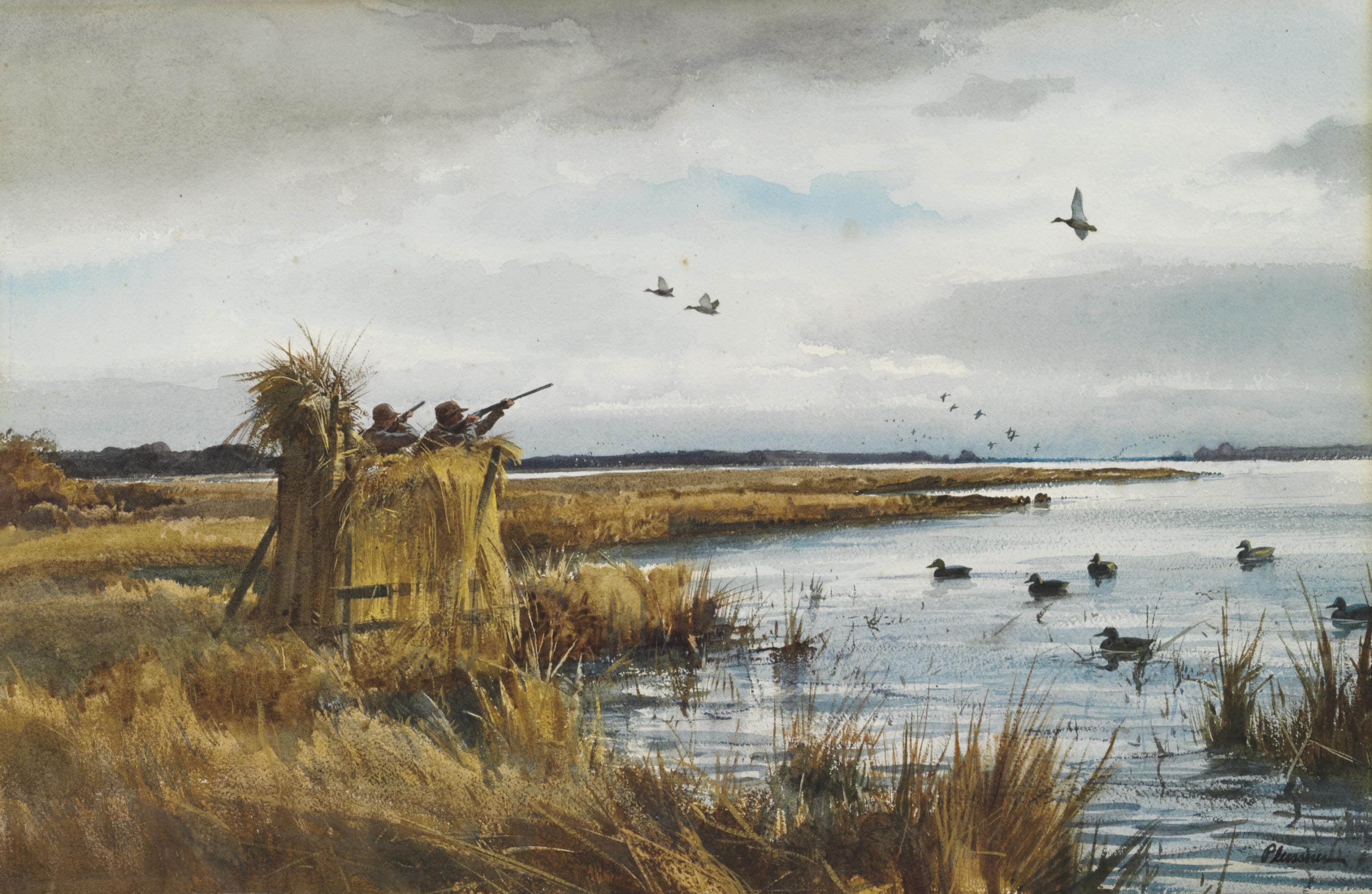 Illinois Duck Hunting 2024 25: Are Your Expectations Realistic? - 0ccxd5b
