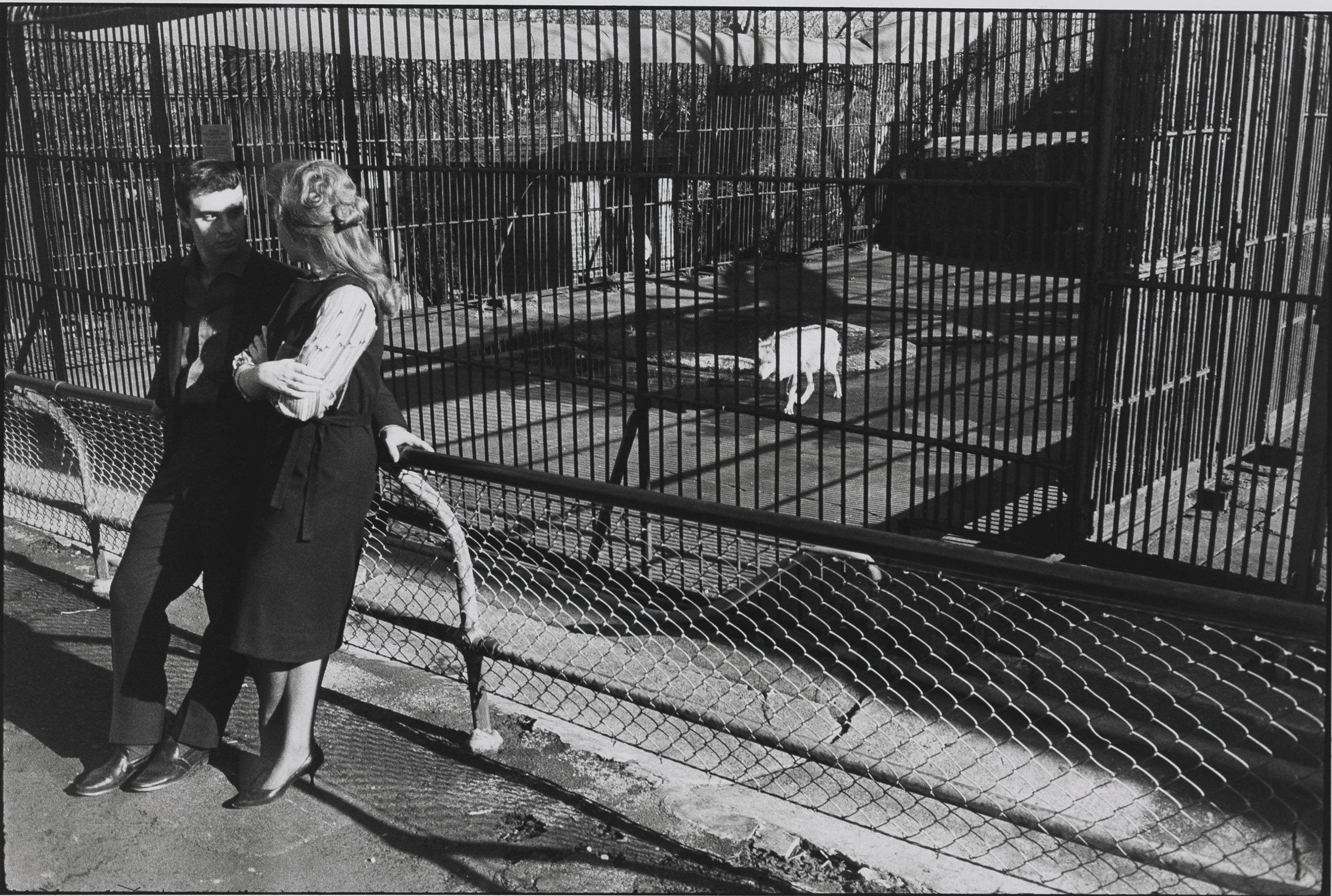 GARRY WINOGRAND (19281984) , Central Park Zoo, New York