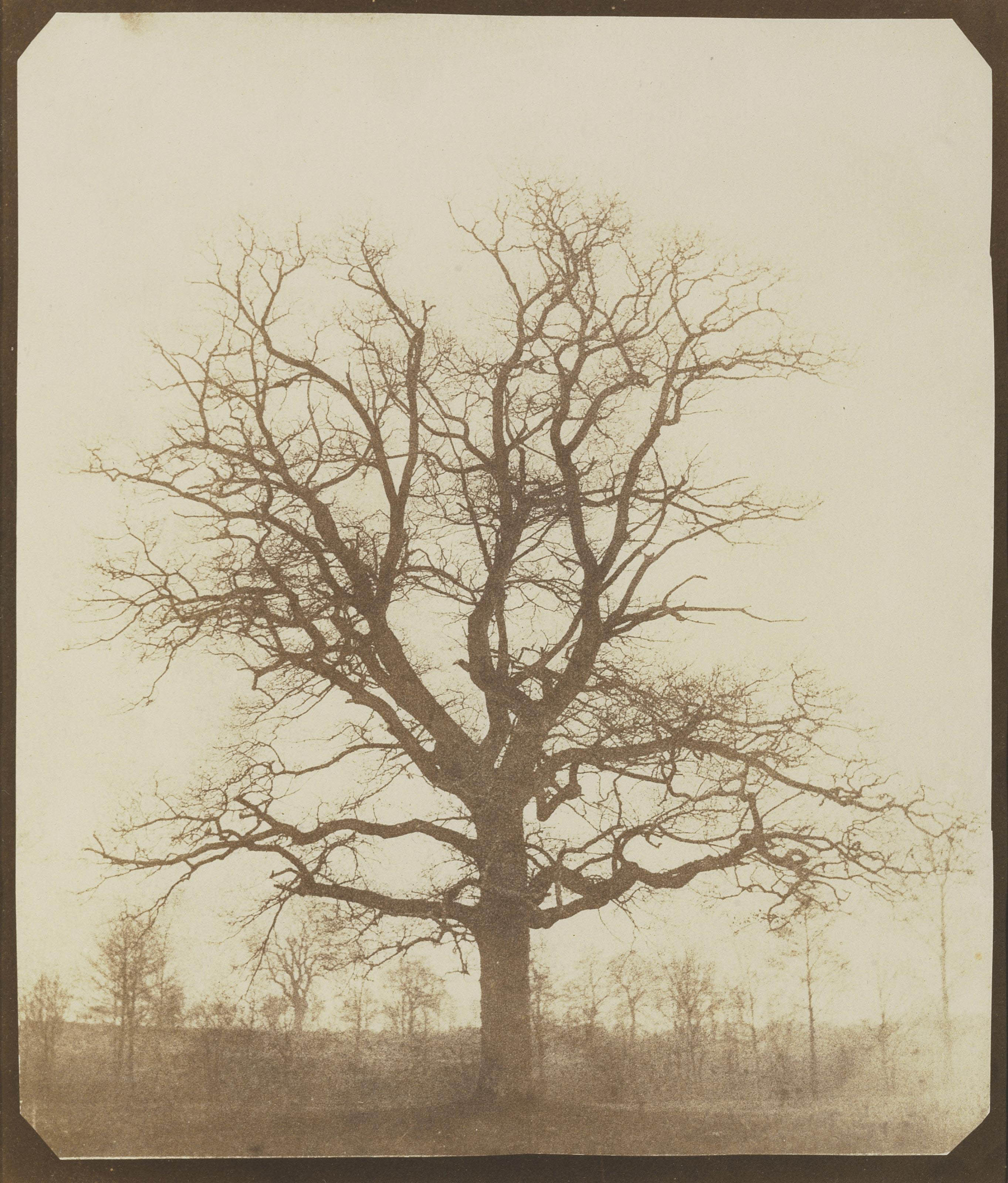 WILLIAM HENRY FOX TALBOT (1800-1877)