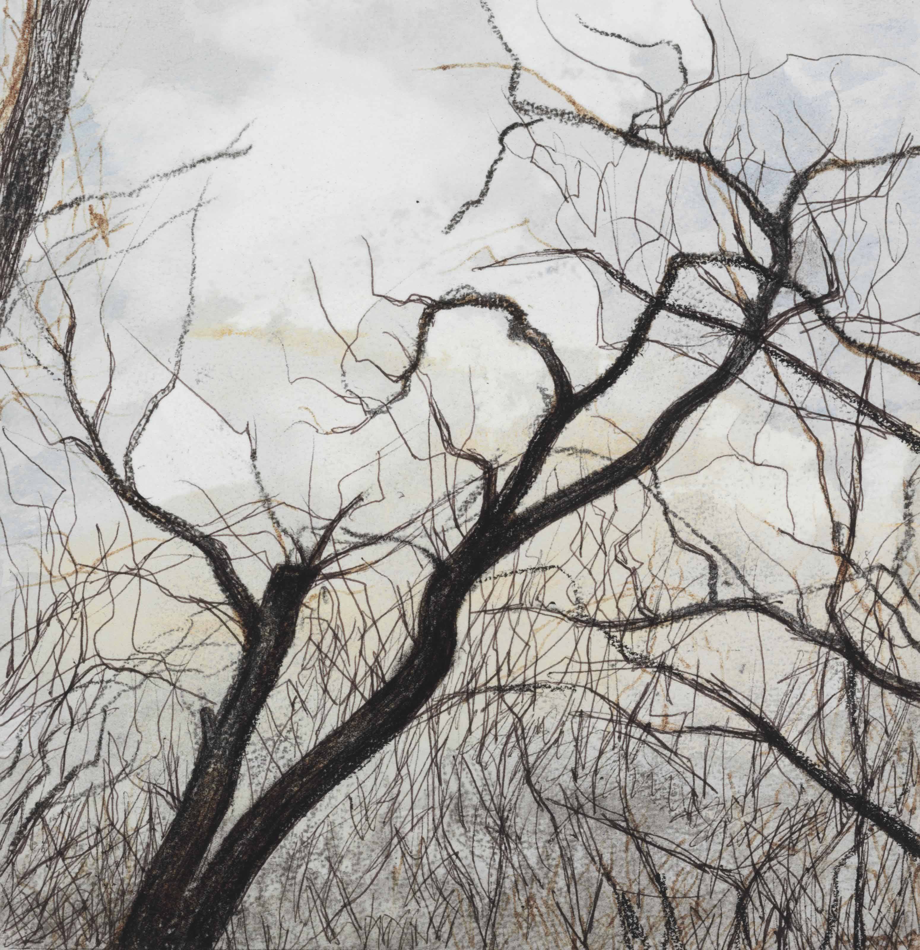 Tree with Lopped Branch 
