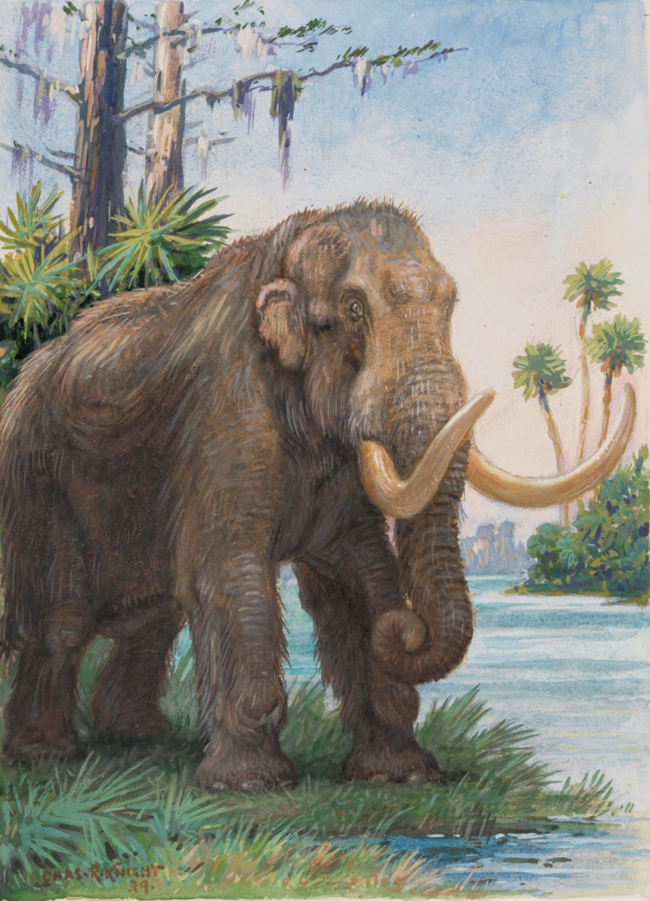 Charles Robert Knight (1874-1953) , American Mastodon | Christie's