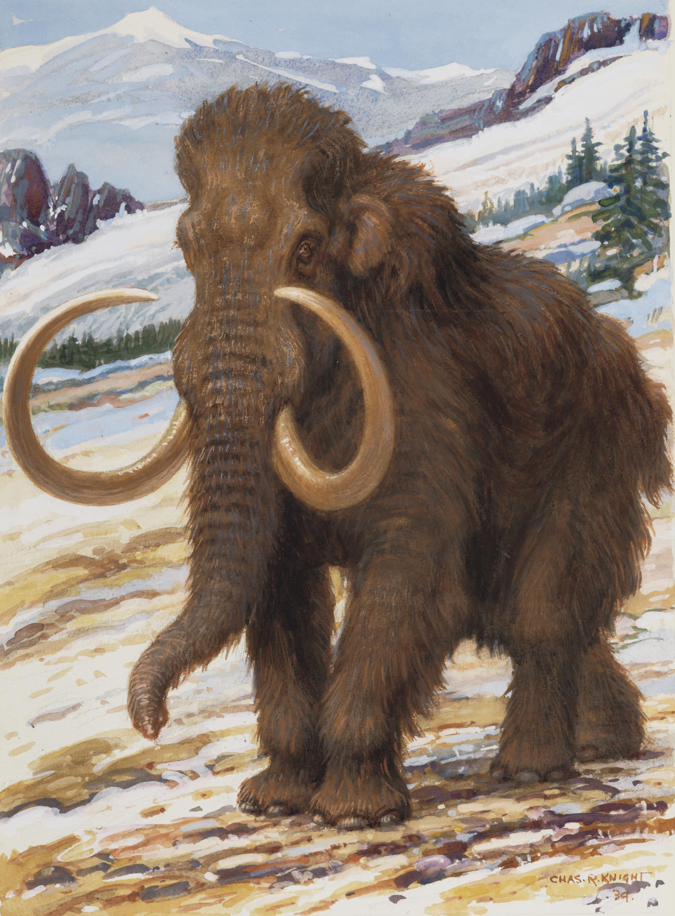 Charles Robert Knight (1874-1953) , American Mastodon | Christie's