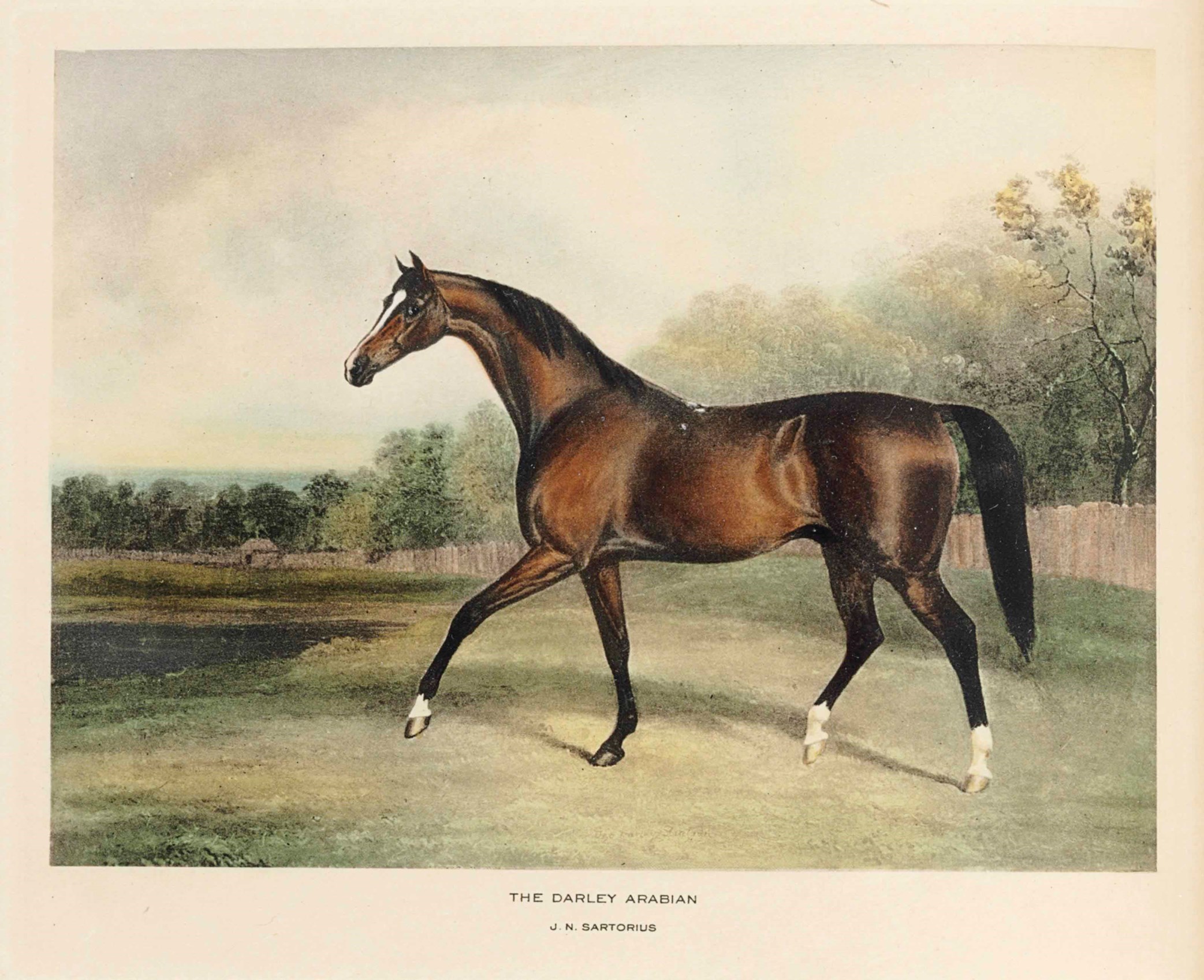 WOODWARD, William R. (18761953). Cherished Portraits of Thoroughbred