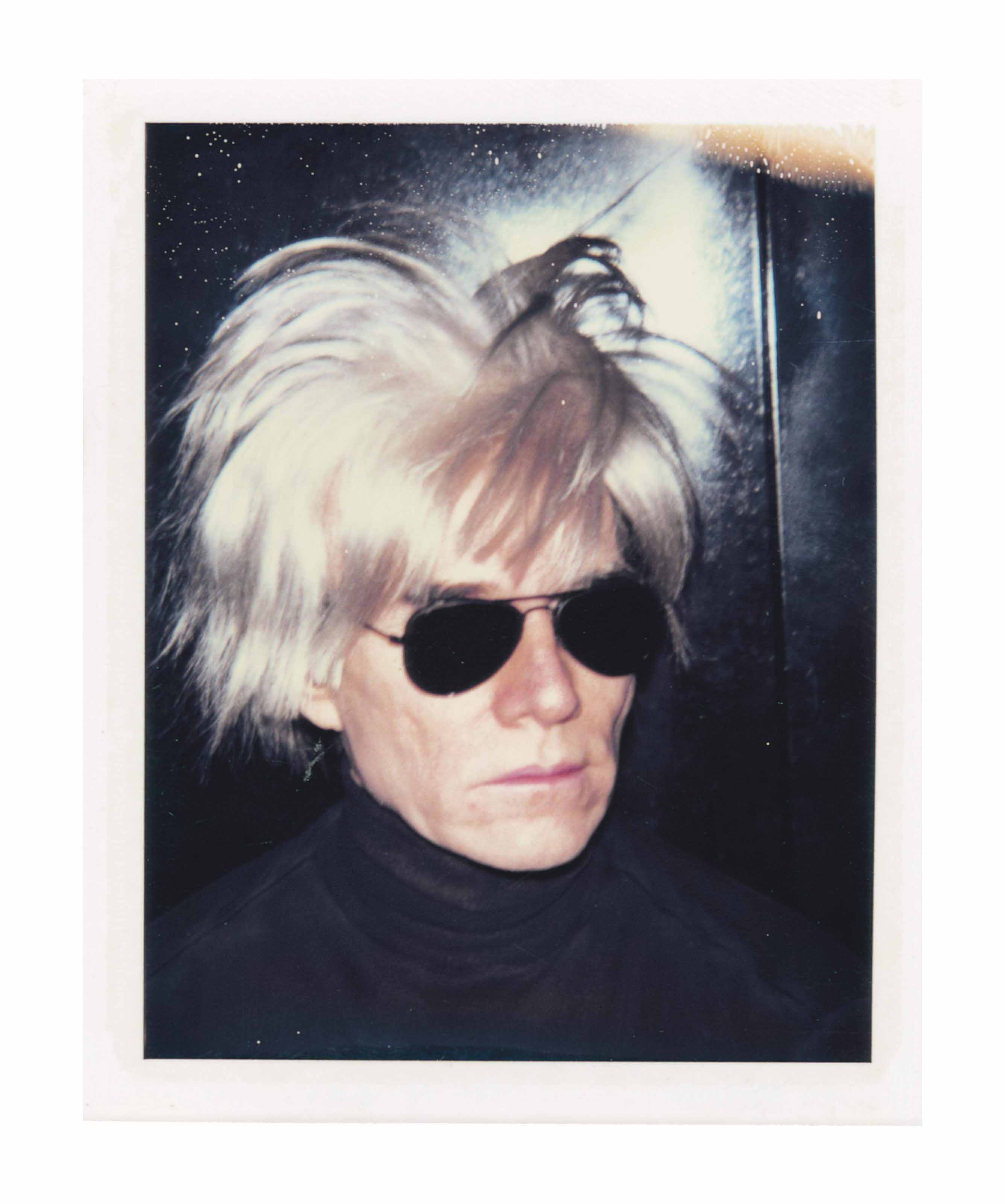 andy warhol wig