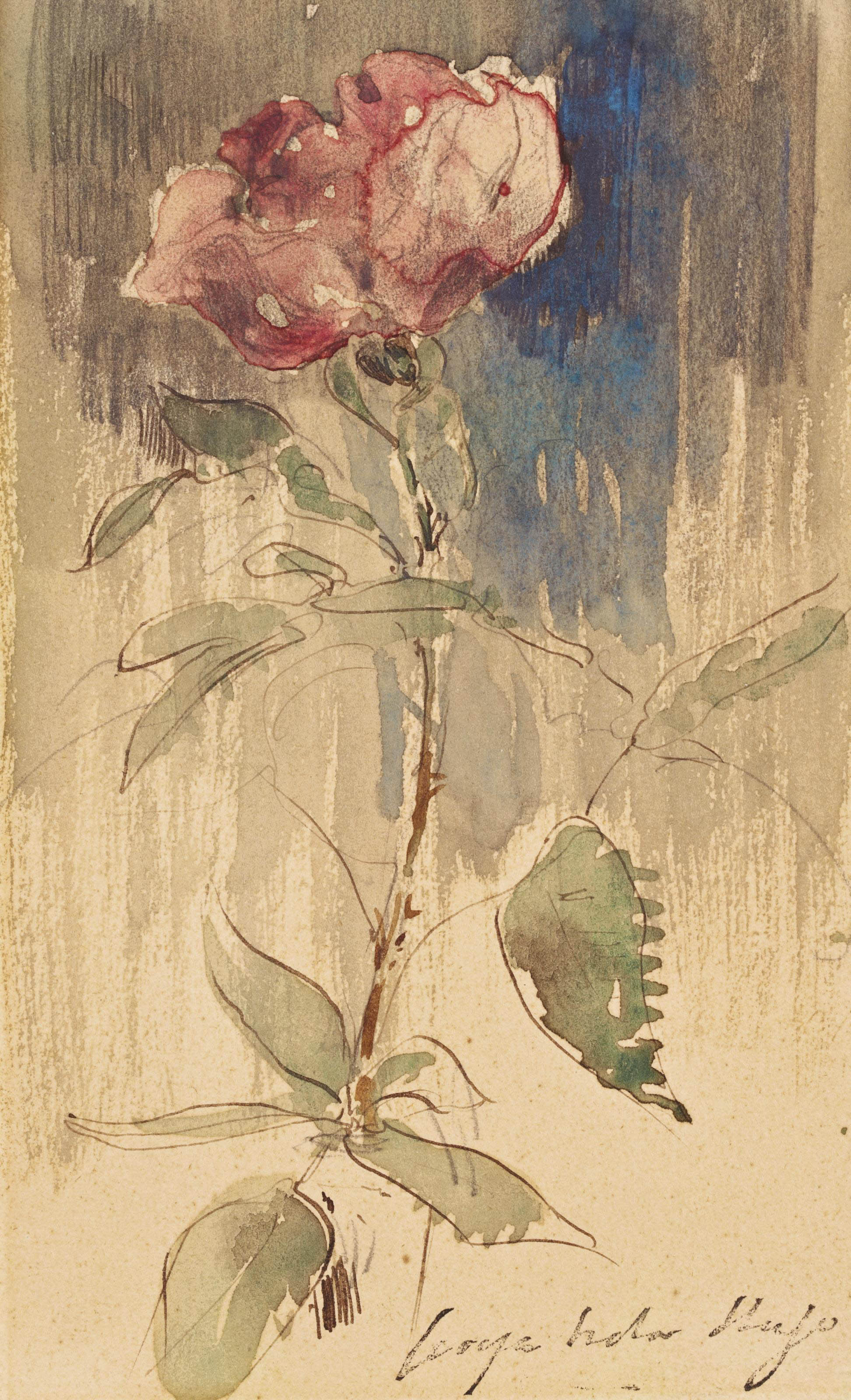 HUGO (18681925) , Etude de rose Christie's