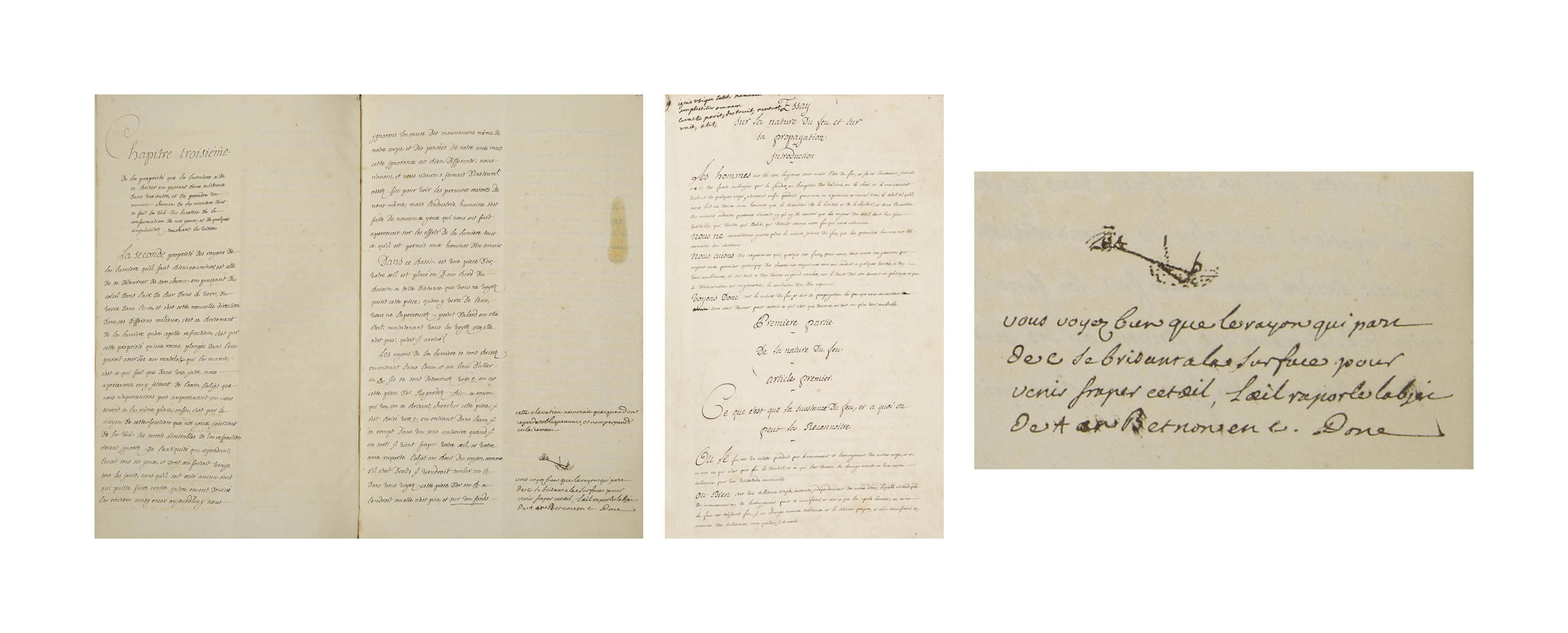 Pangloss candide picture