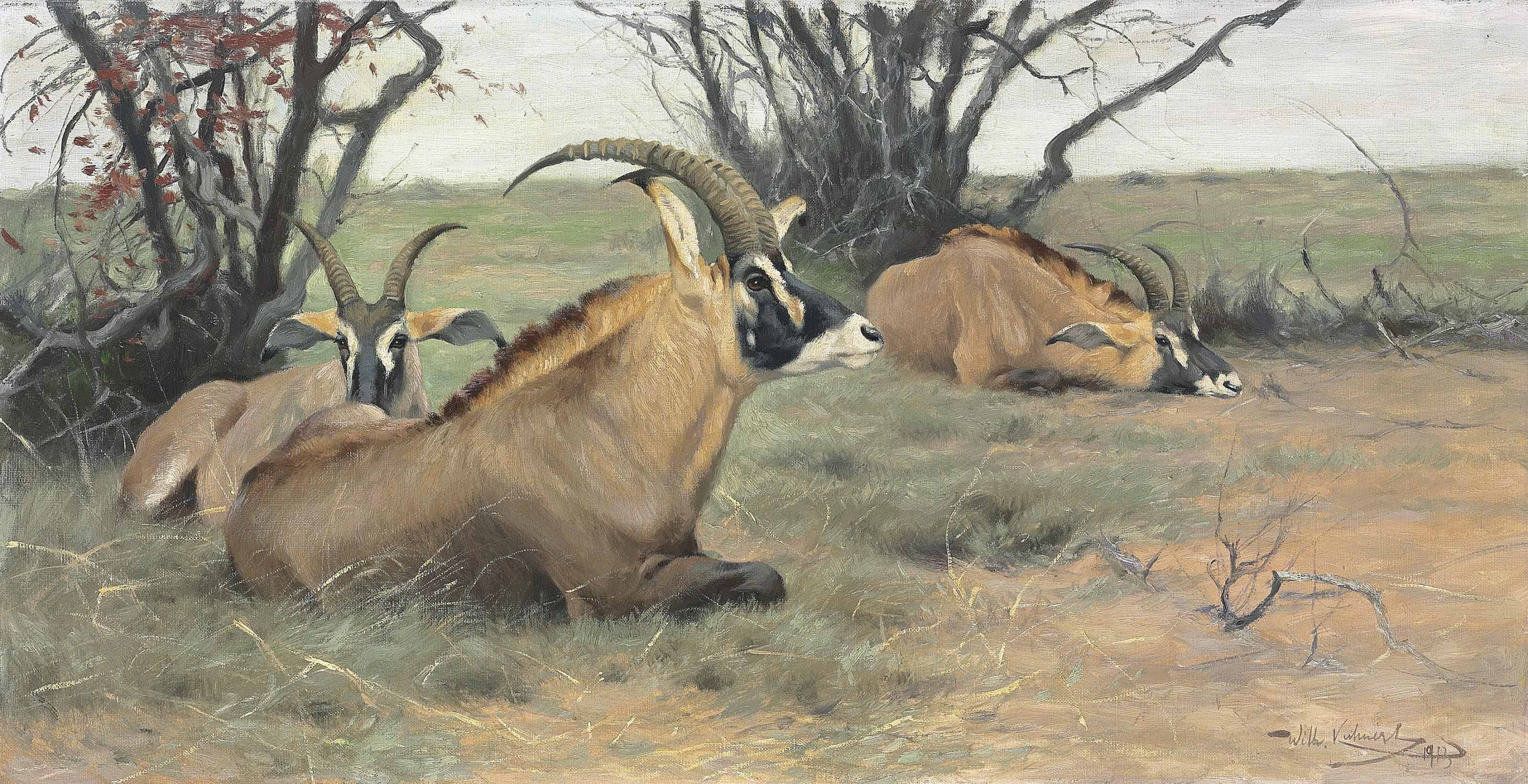 Wilhelm Kuhnert (German, 1865-1926)