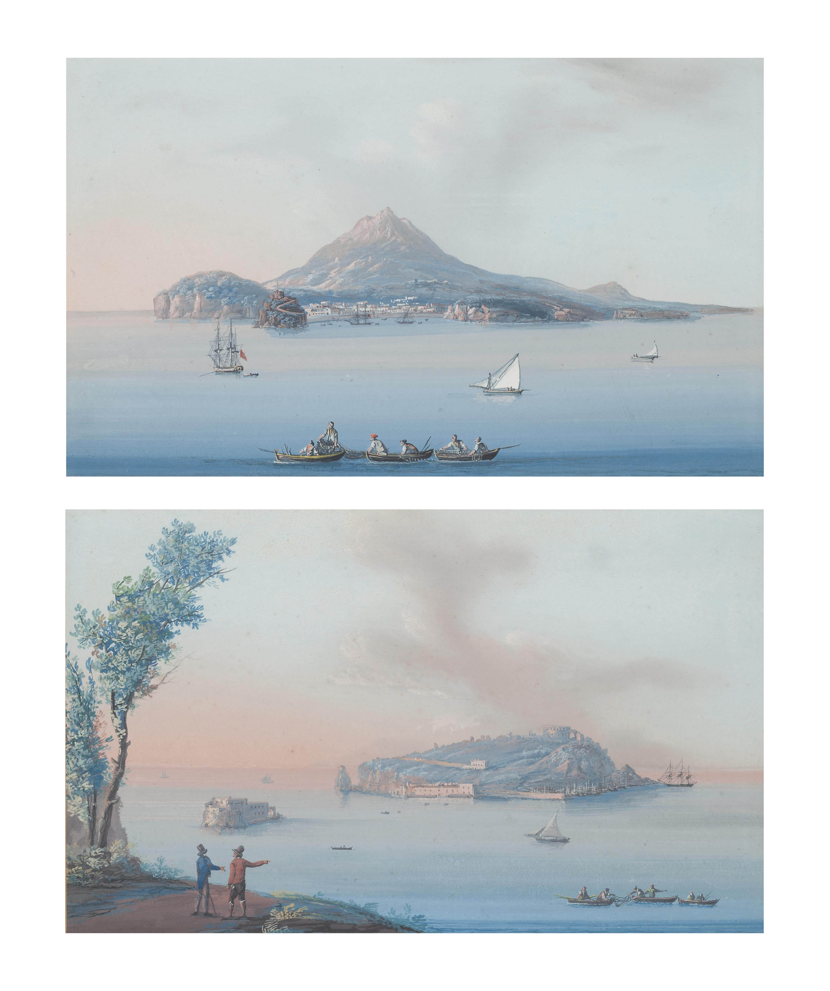 scarabeo Ercole gigante