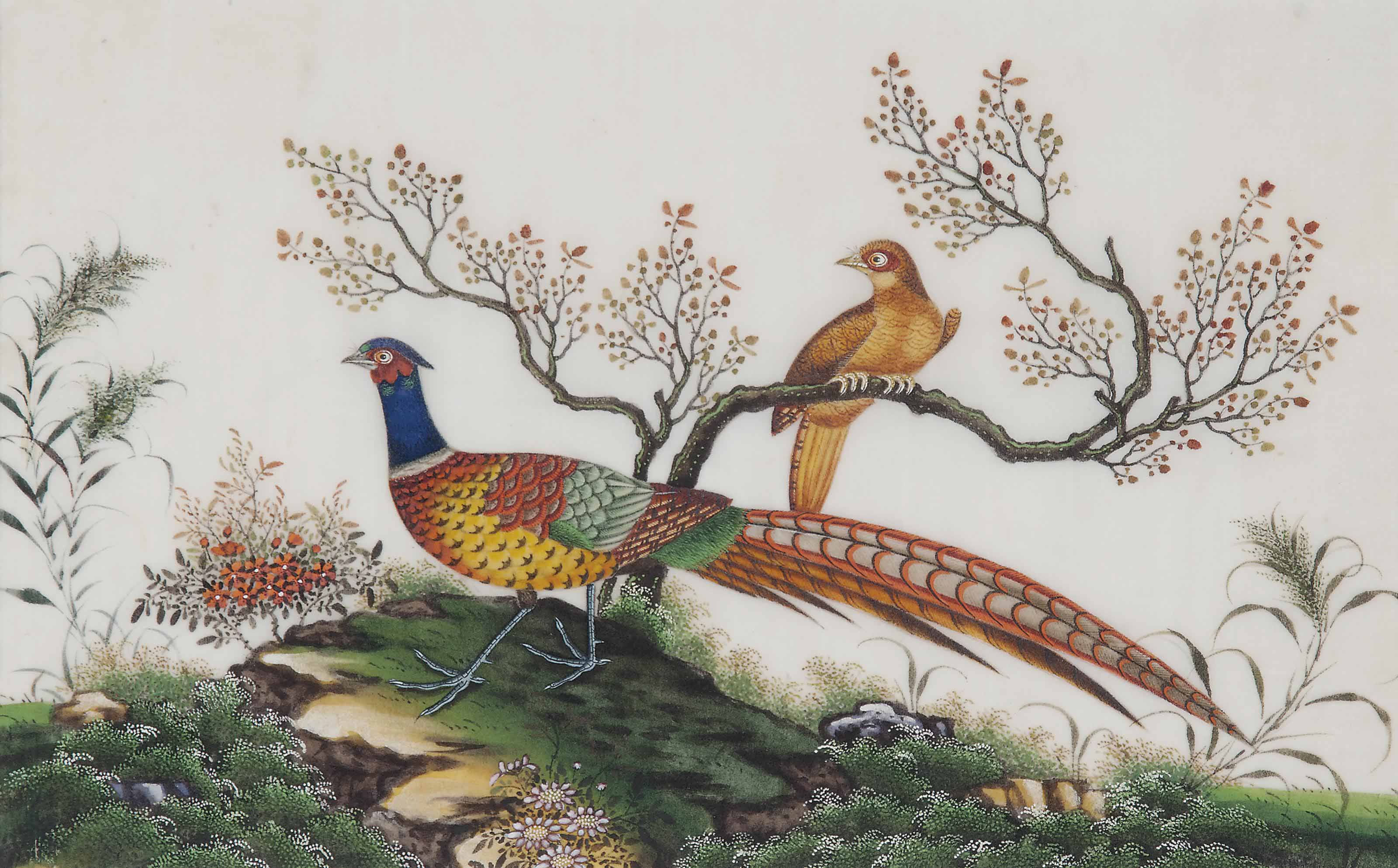 A Set Of Eight Chinese Rice Paper Paintings Of Birds 19th