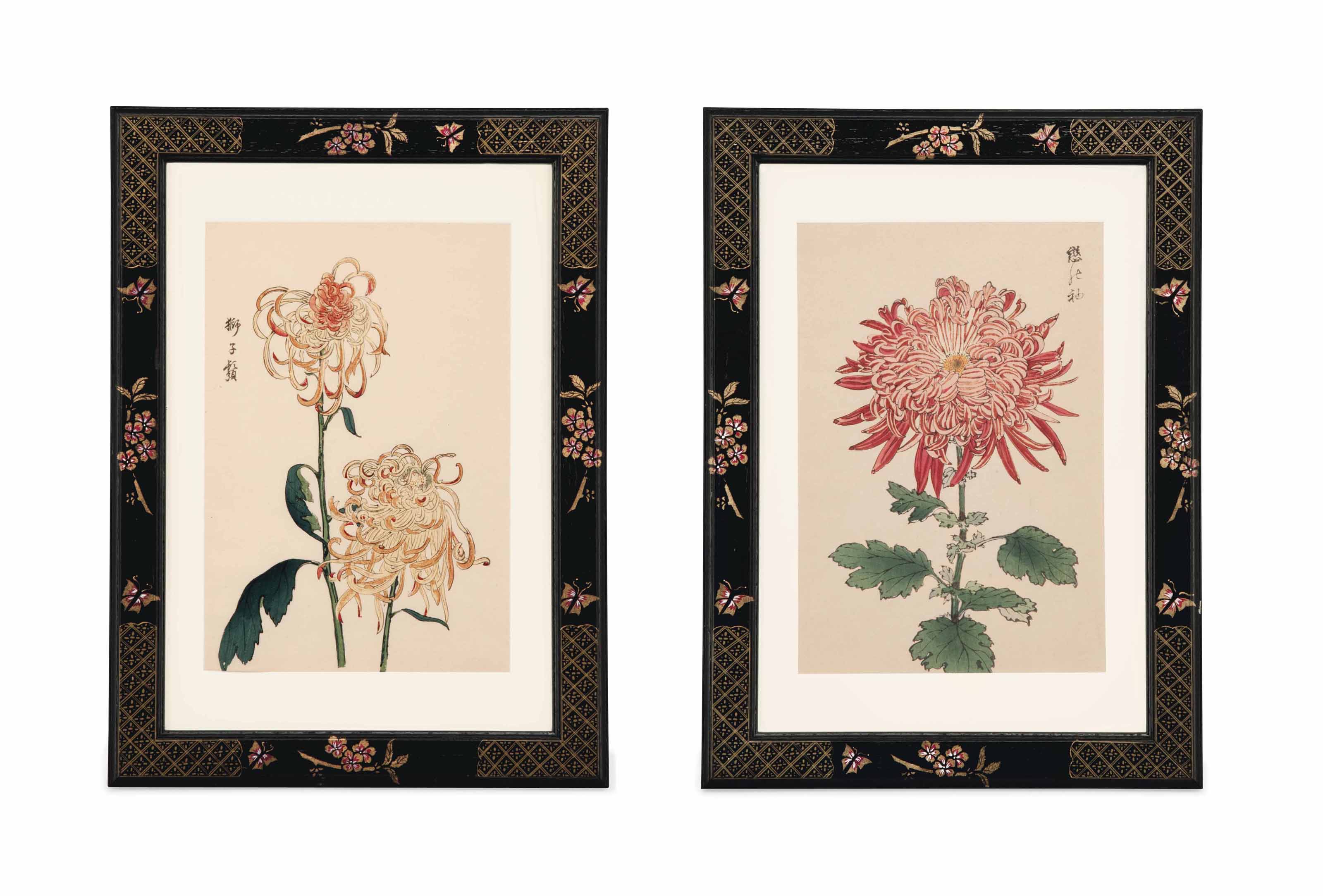 TWELVE JAPANESE WOODBLOCK PRINTS OF CHRYSANTHEMUMS