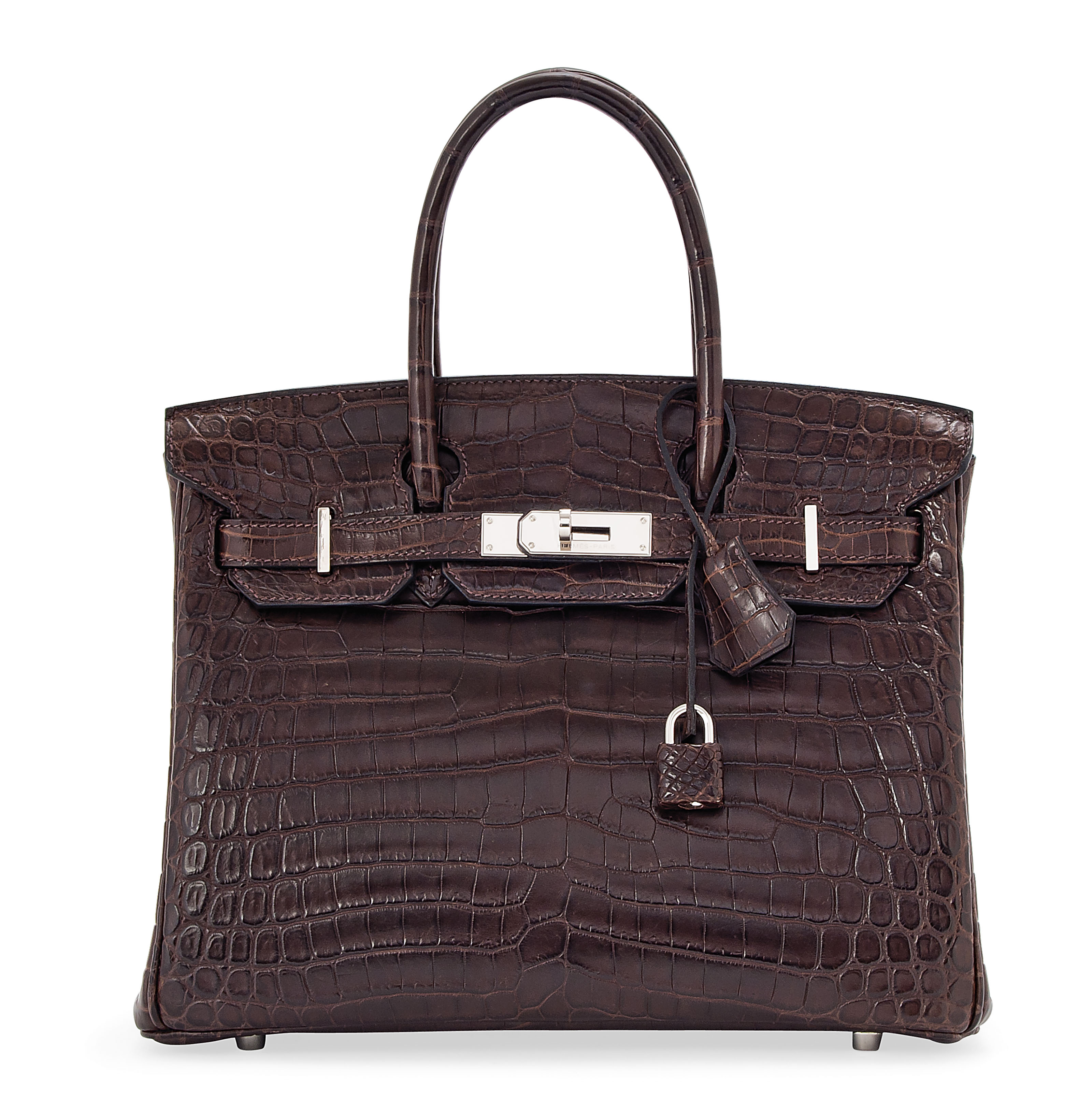 Hermes crocodiles hot sale