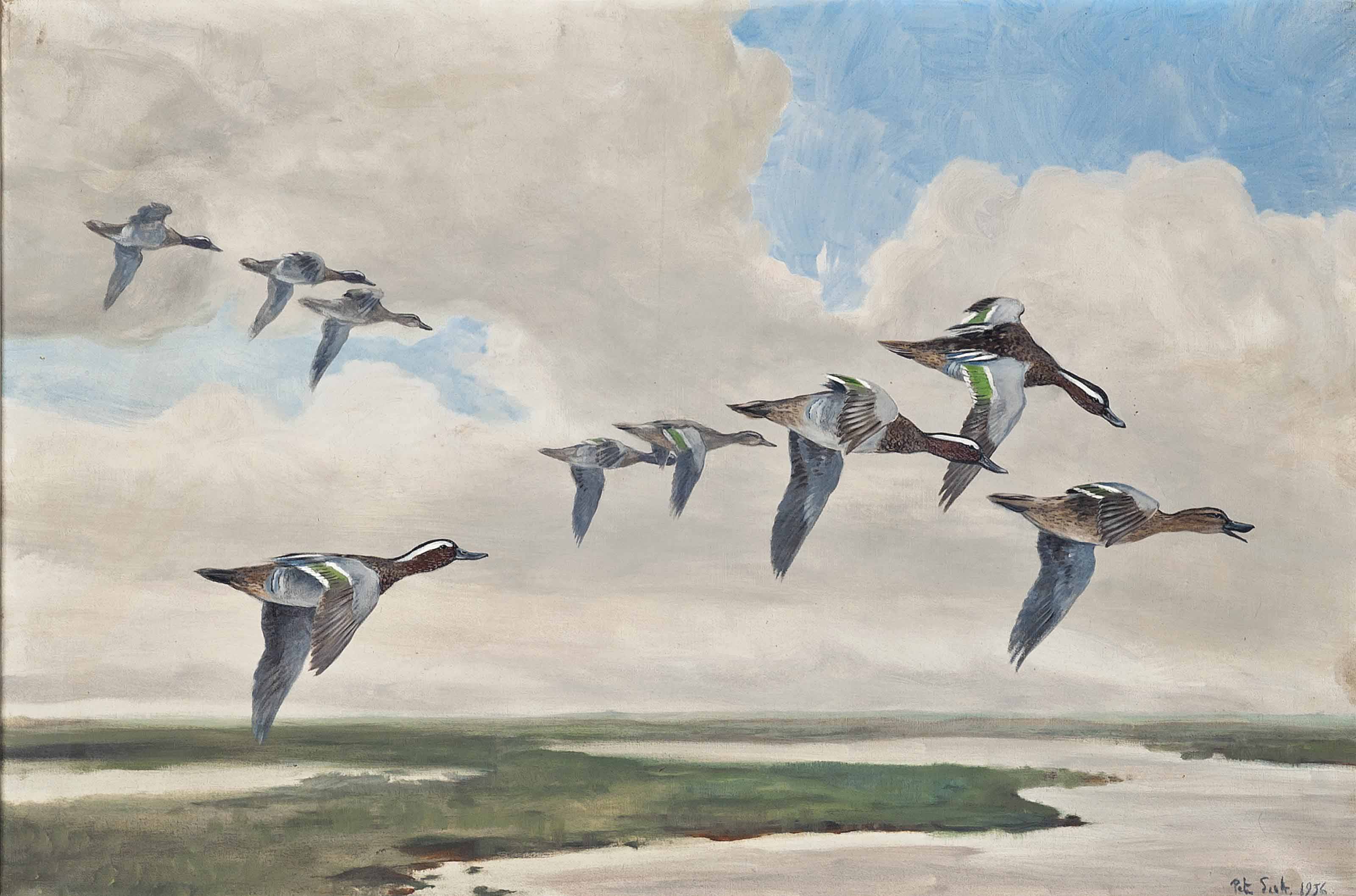 Peter Markham Scott : Scott, Peter Markham, 1909 – CGNPEB