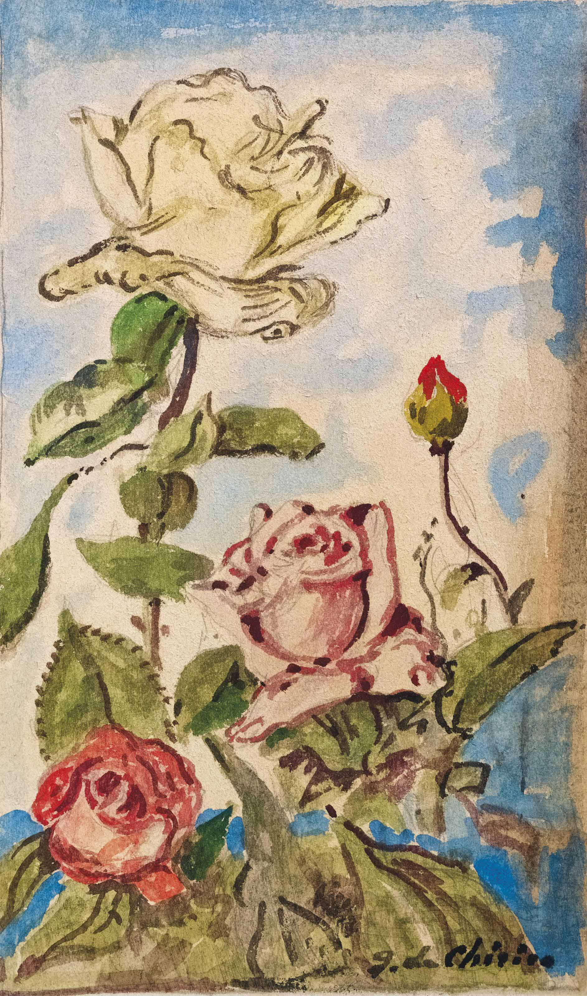 Rose 
