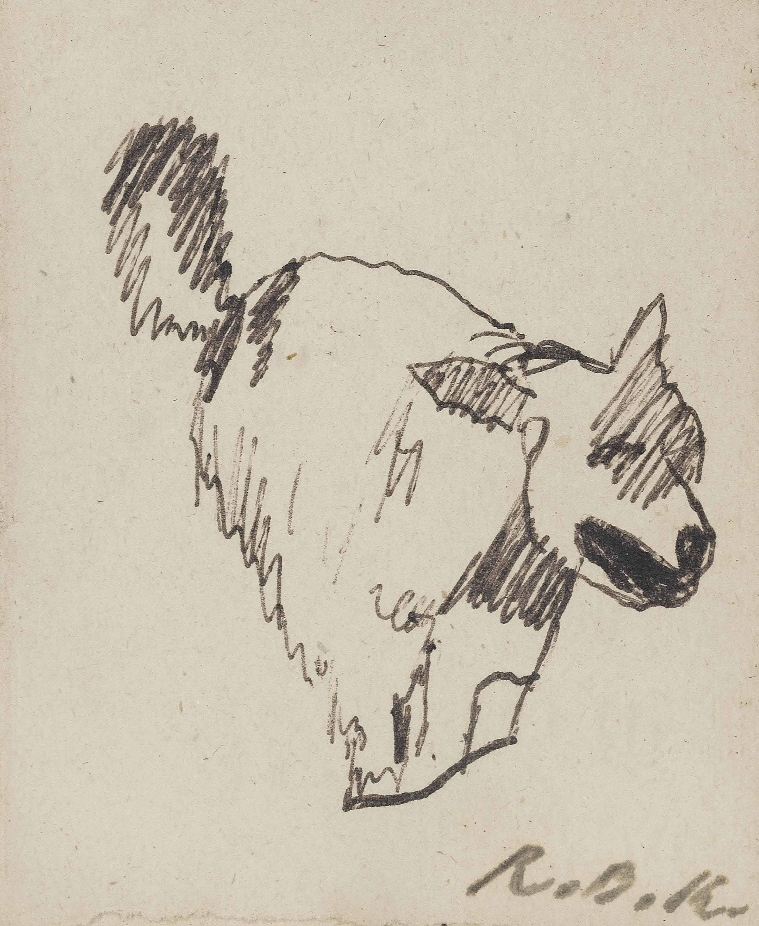 Dog 
