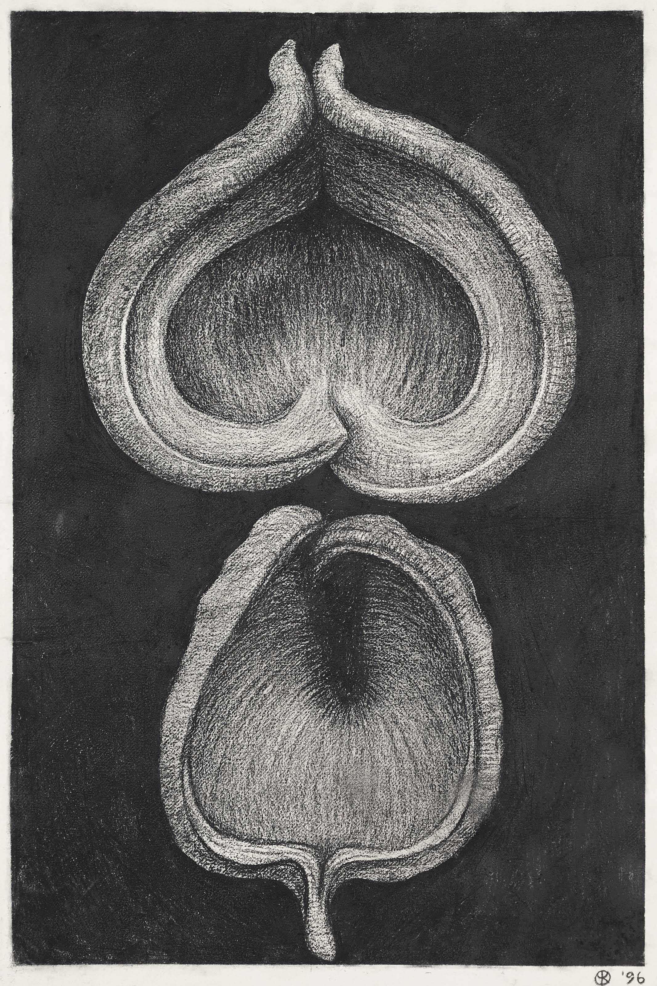 Peter Randall Page B 1954 Sterculia Drawings Watercolors