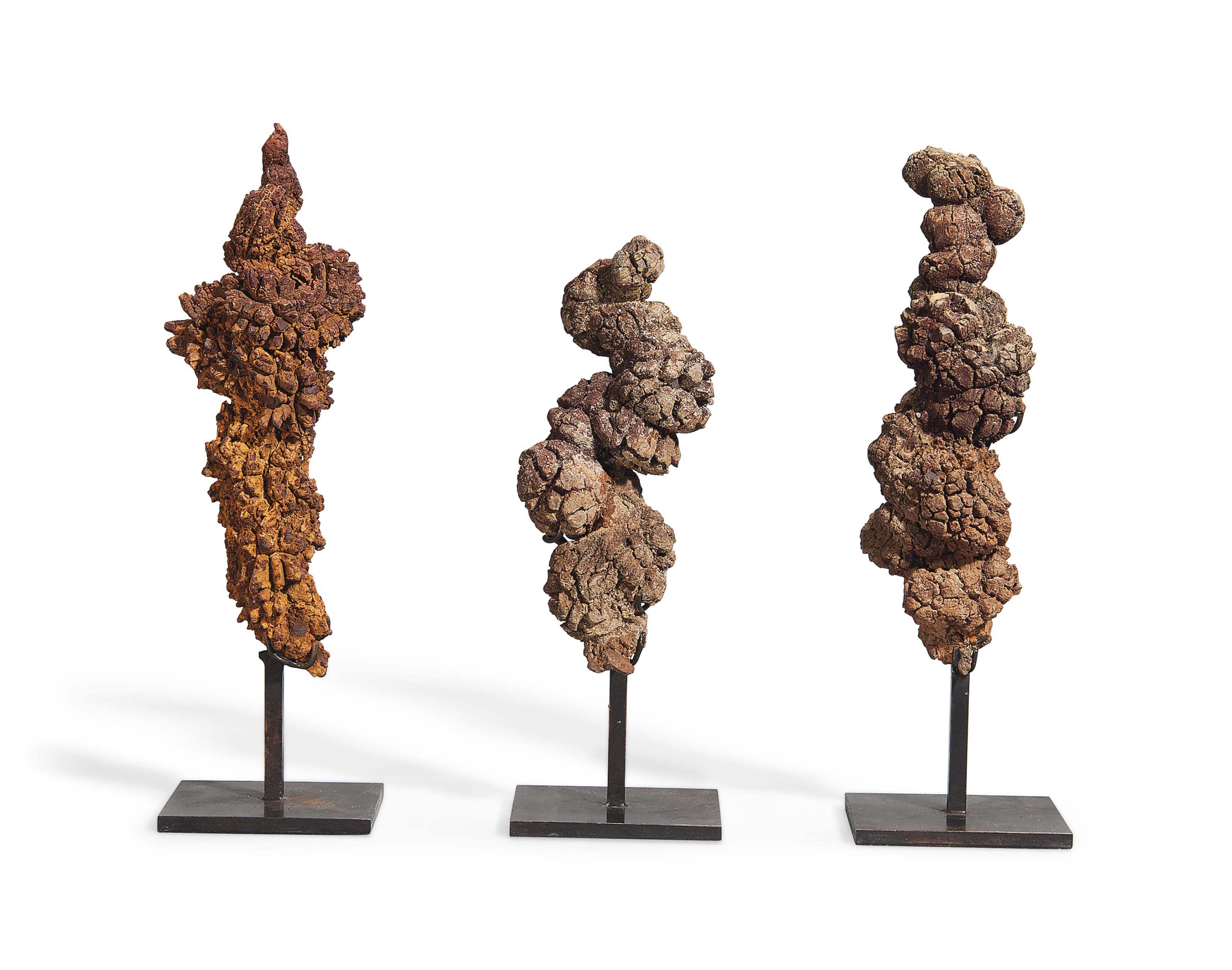 coprolite street