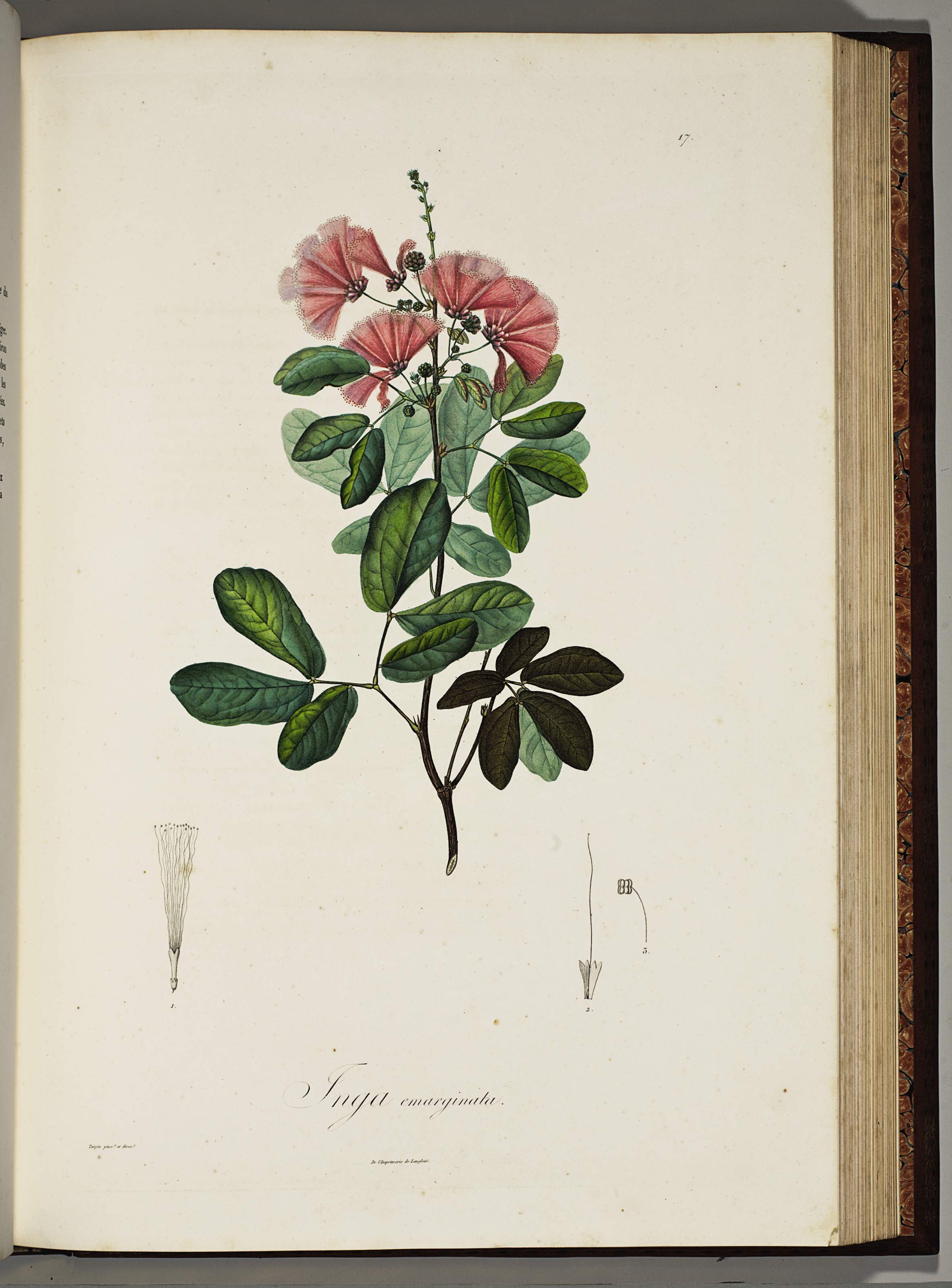 Lot 155 | PROPERTY FROM A DISTINGUISHED PRIVATE COLLECTION Read more