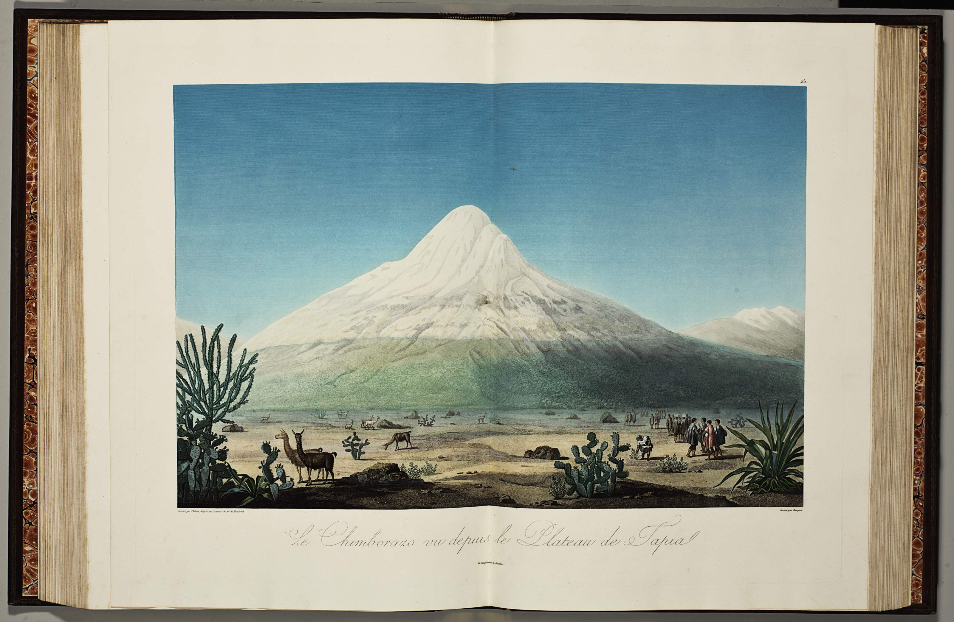 humboldt alexander friedrich von wilhelm baron heinrich read lot bonpland voyage distinguished private property 1773