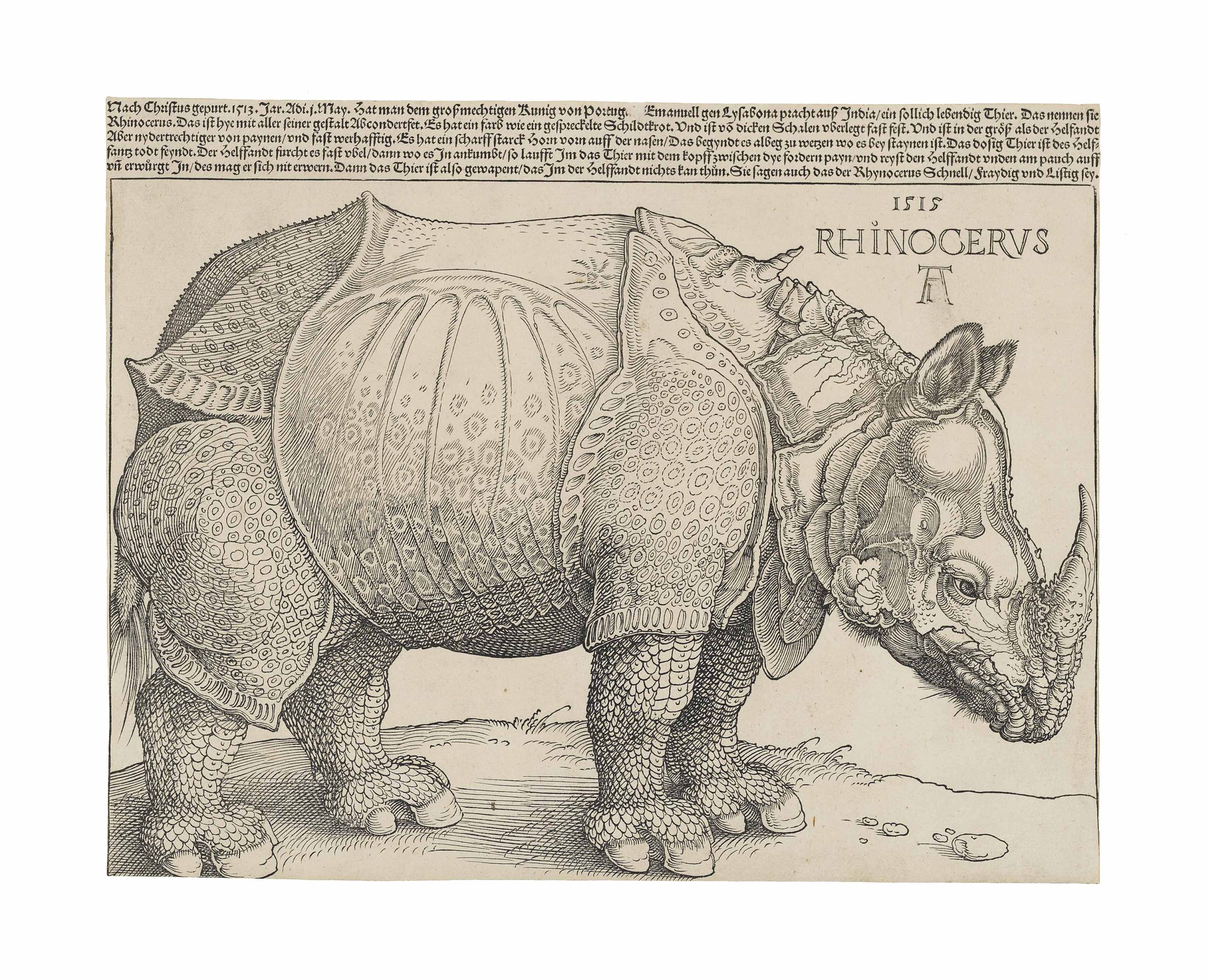 Albrecht Dürer , The Rhinoceros (B. 136; M., Holl. 241; S.M.S. 241 ...