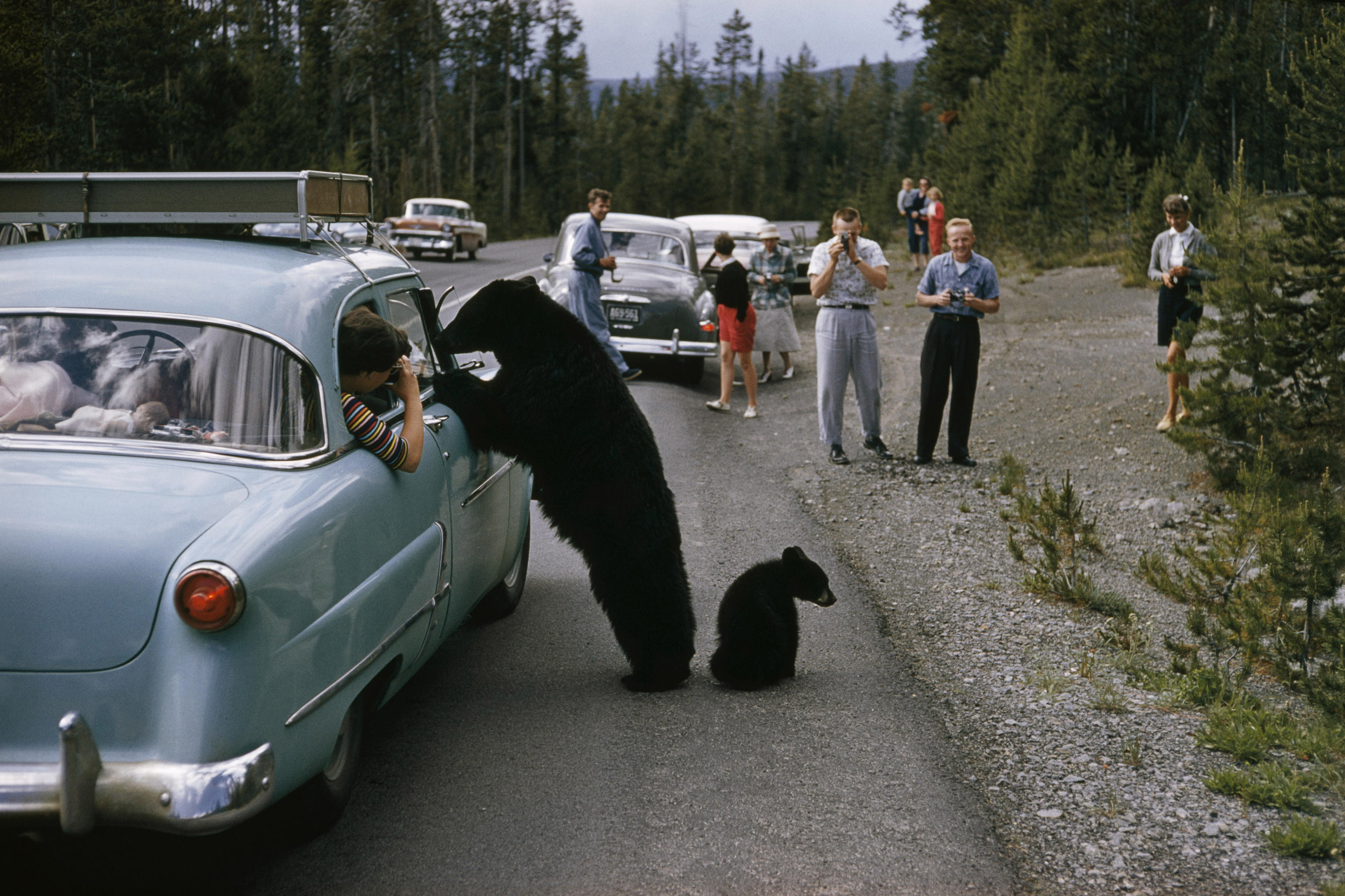 Yellowstone National Park, Wyoming, 1950, Andrew H. Brown | Christie’s