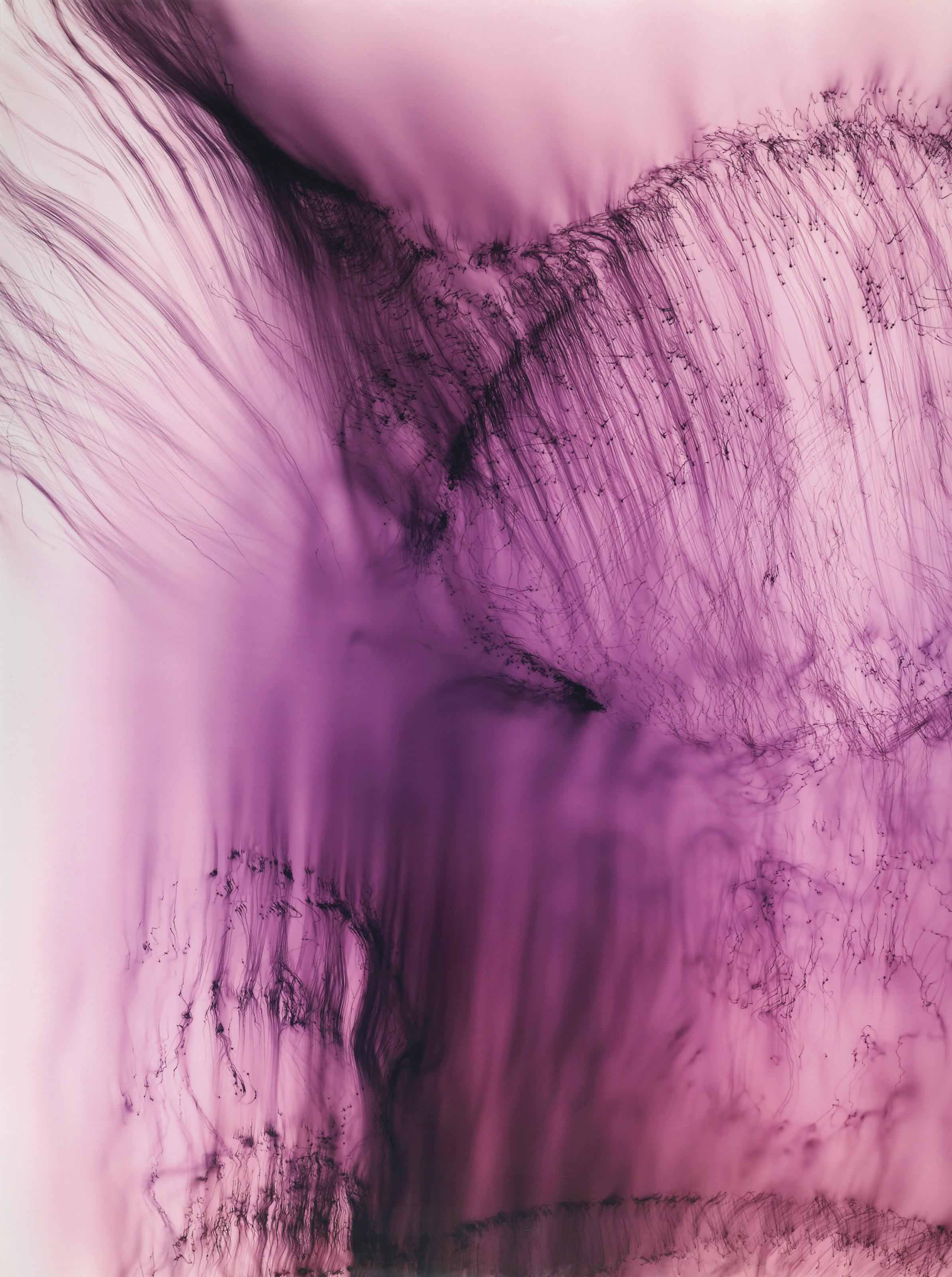 WOLFGANG TILLMANS (B. 1968) , FREISCHWIMMER, 56, 2004