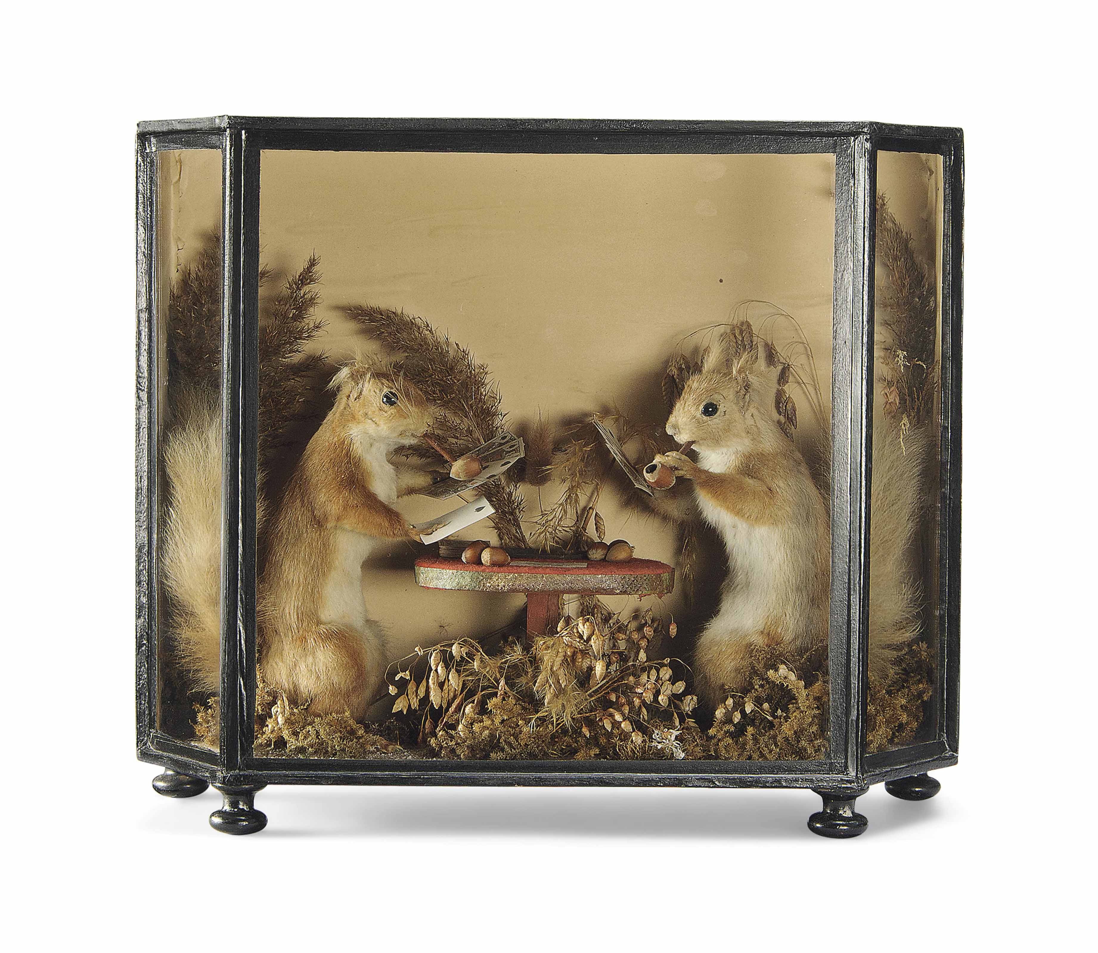 Walter Potter Victorian Taxidermy Cat Taxidermy Art T vrogue.co