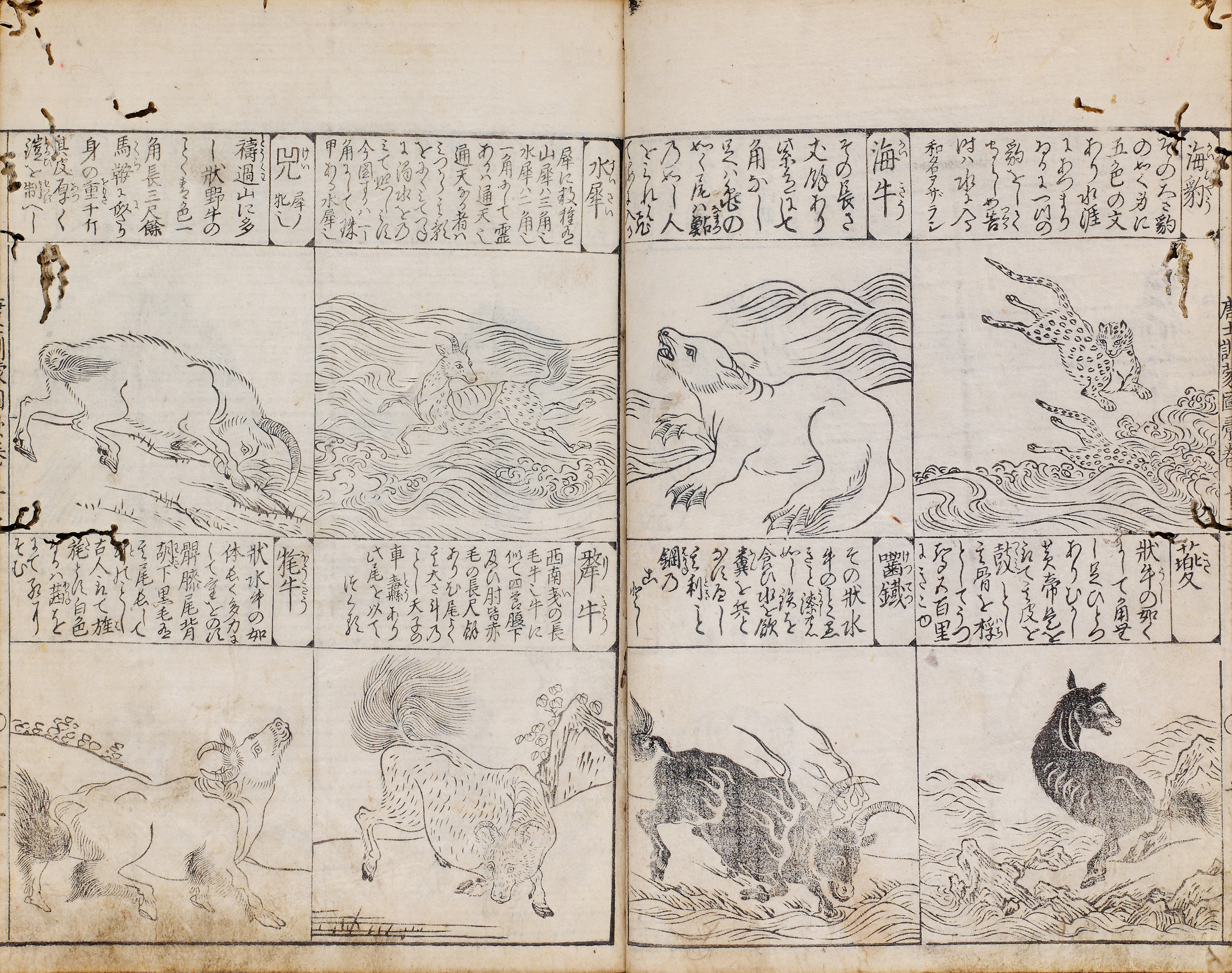 Tachibana Morikuni (1679-1748), MOROKOSHI KINMO ZUI [ILLUSTRATED