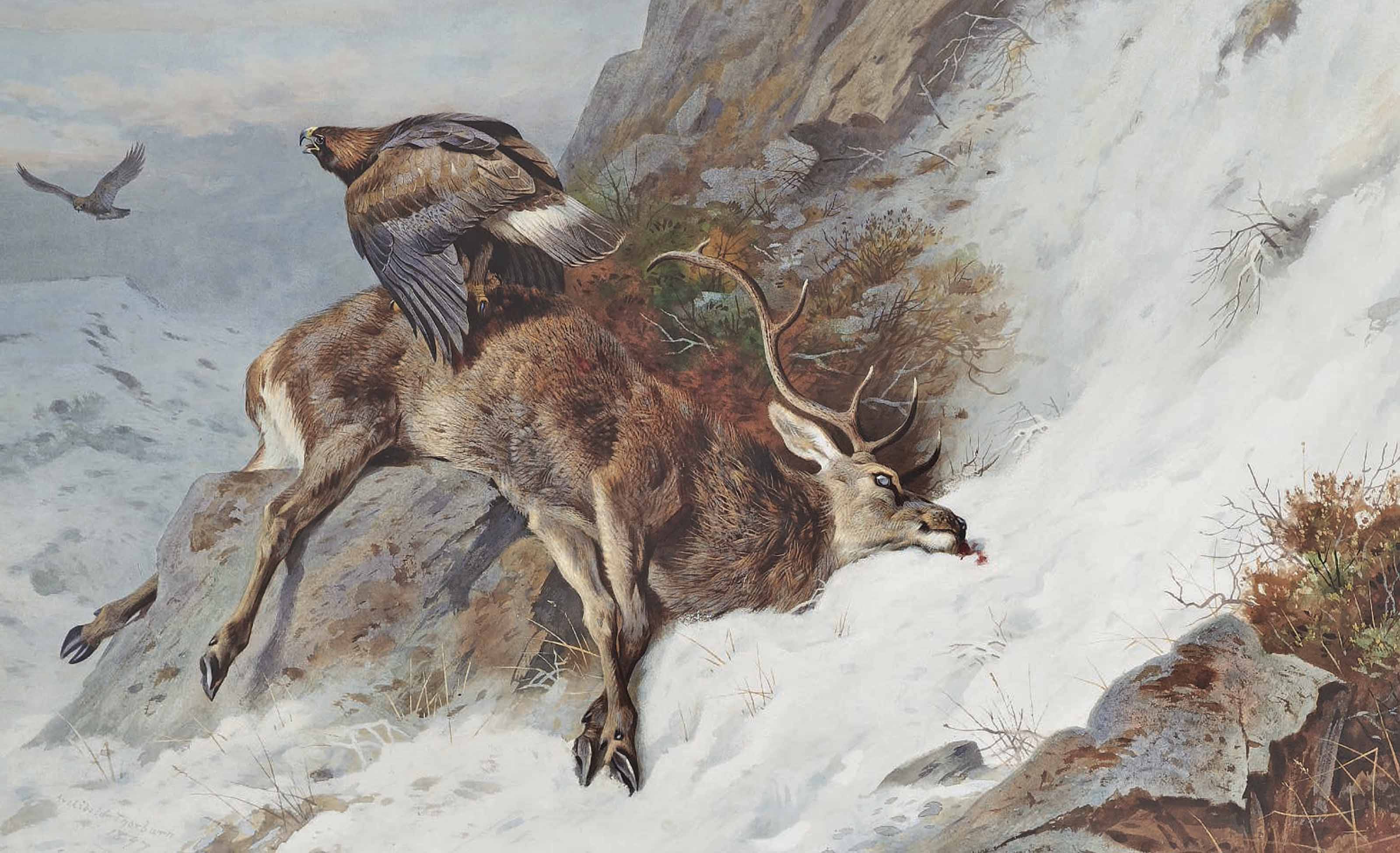 Archibald Thorburn (18601935) , Lost in the glen Christie's